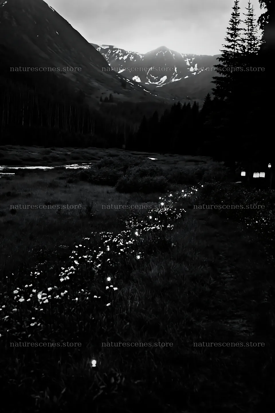 Christmas lights across mountain valley meadow – nature scenes 6480x9722