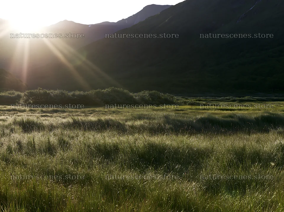Sunbeams shine over Jotunheimen valley meadow at sunset – nature scenes 9174x6866