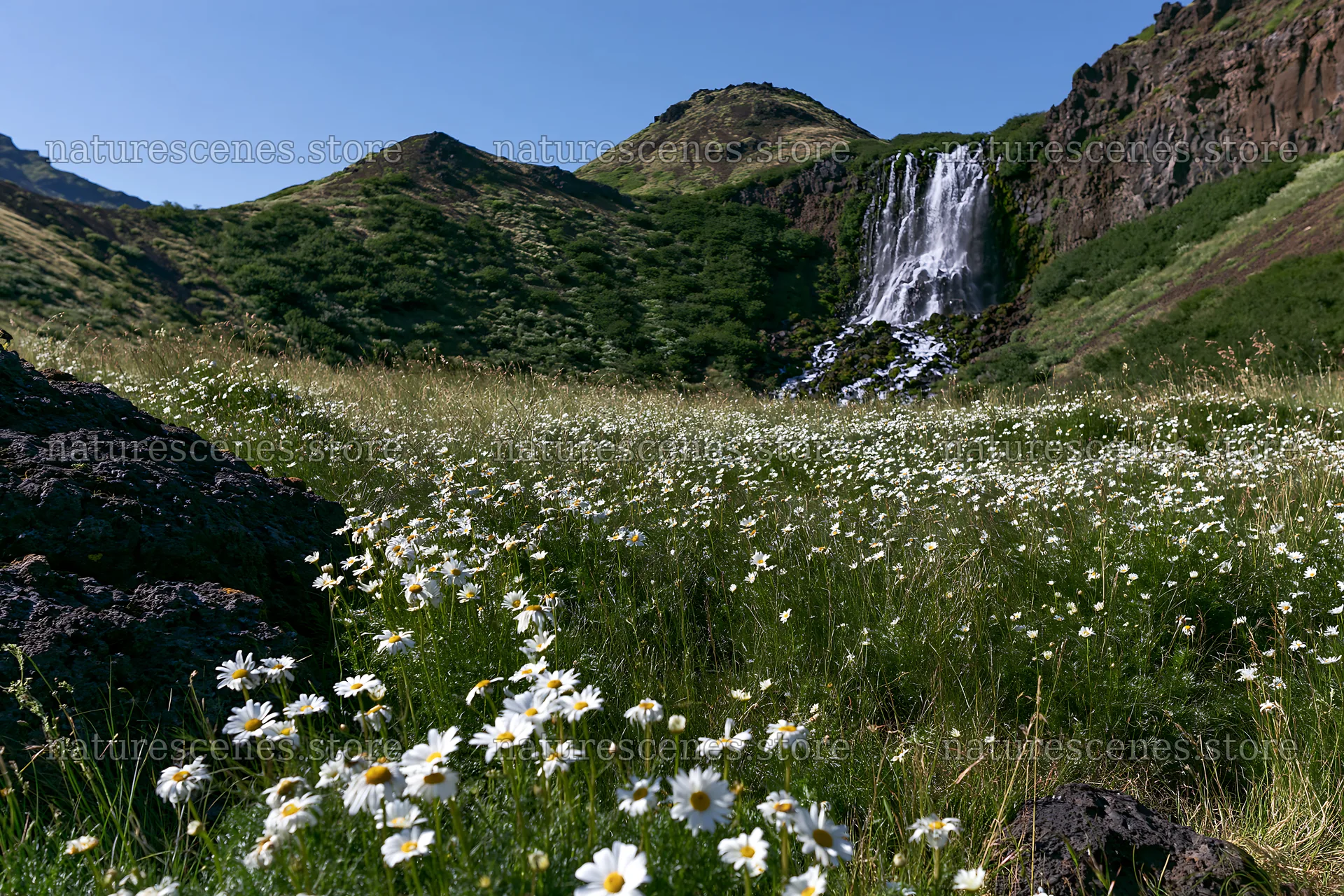 Wildflower meadow with waterfall in a natural landscape – nature scenes 9722x6480