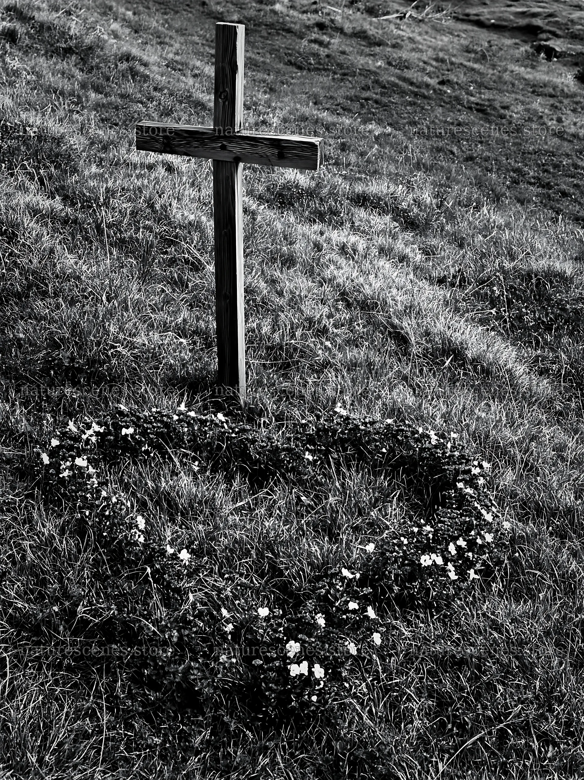 Wooden cross surrounded by flowers in winter meadow – nature scenes 6866x9174
