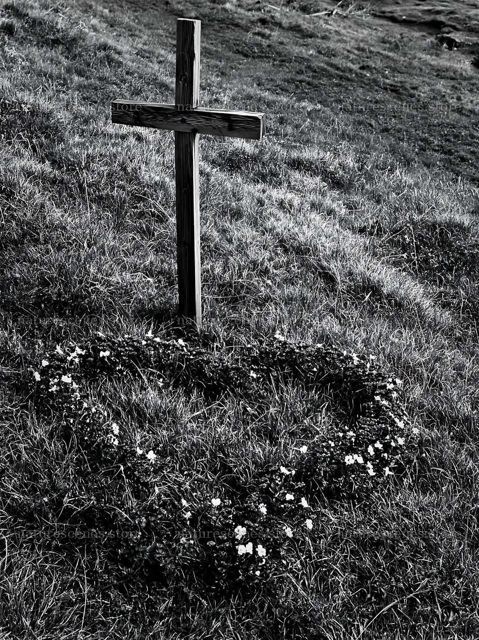 Wooden cross surrounded by flowers in winter meadow – nature scenes 6866x9174