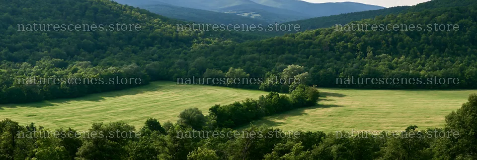 Hungarian meadow in wooded valley under clear sky – nature scenes 13690x4602