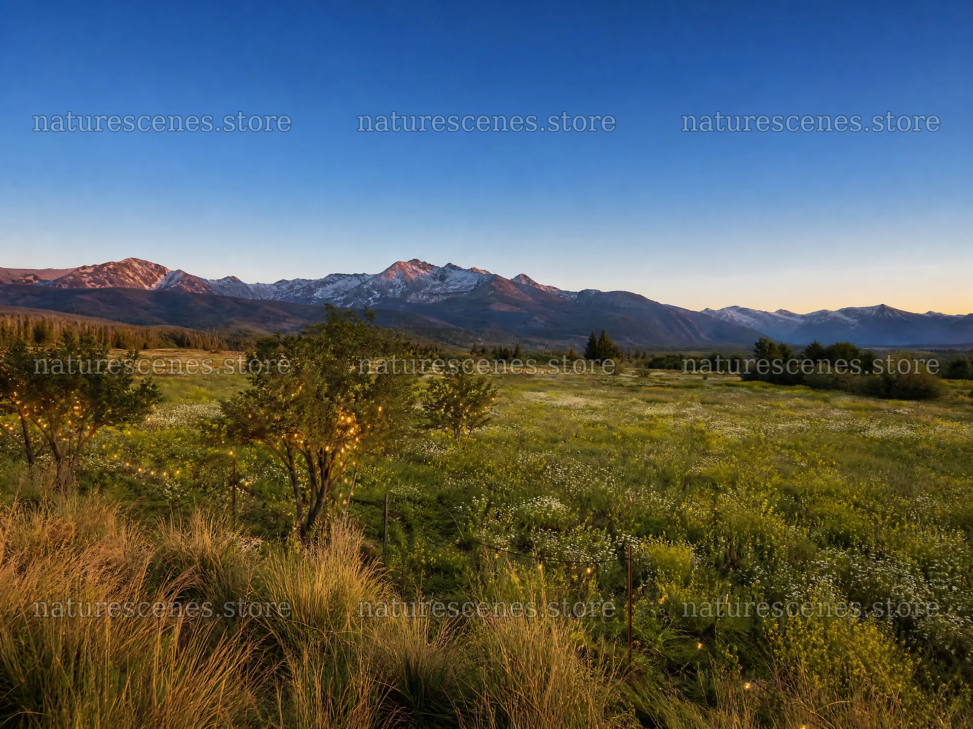 Warm Christmas lights across mountain valley meadow – nature scenes 9166x6874
