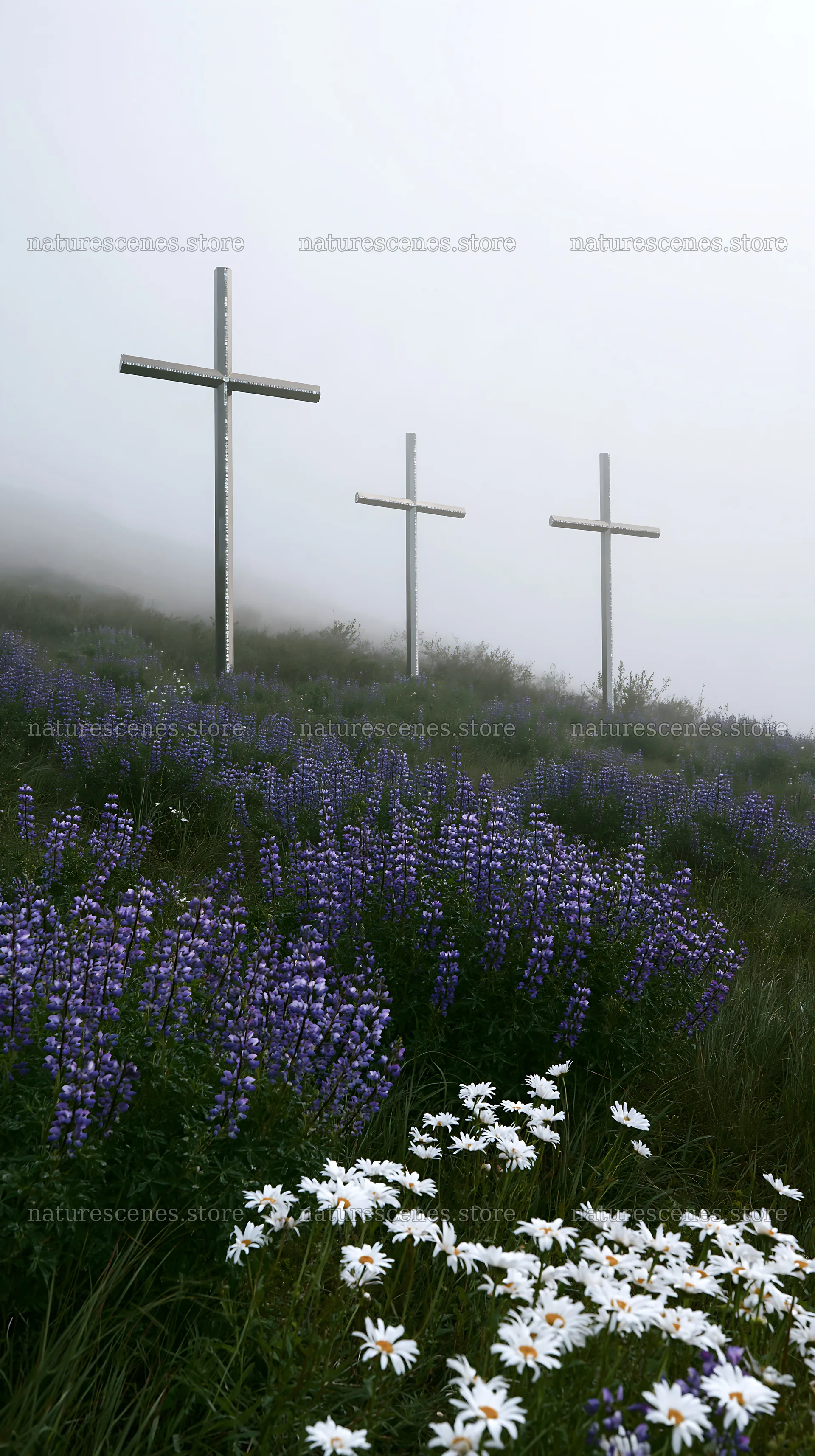 Three Christian crosses in a meadow with flowers – nature scenes 5938x10608