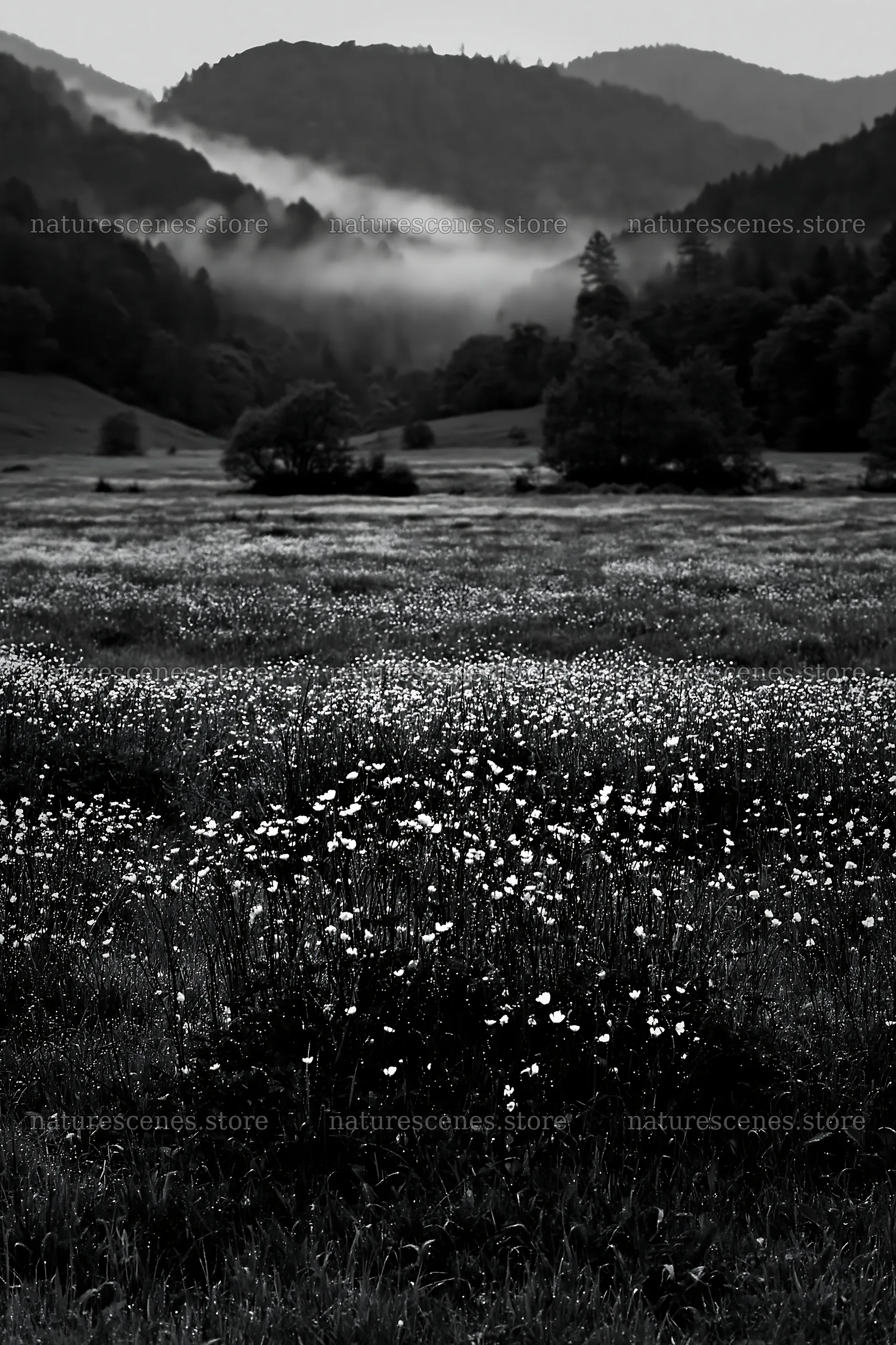 Rainy valley meadow with flowers and mist in the background – nature scenes 6480x9722