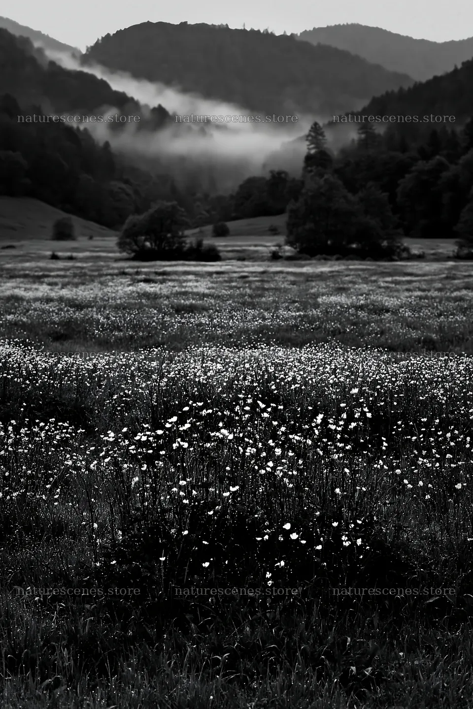 Rainy valley meadow with flowers and mist in the background – nature scenes 6480x9722