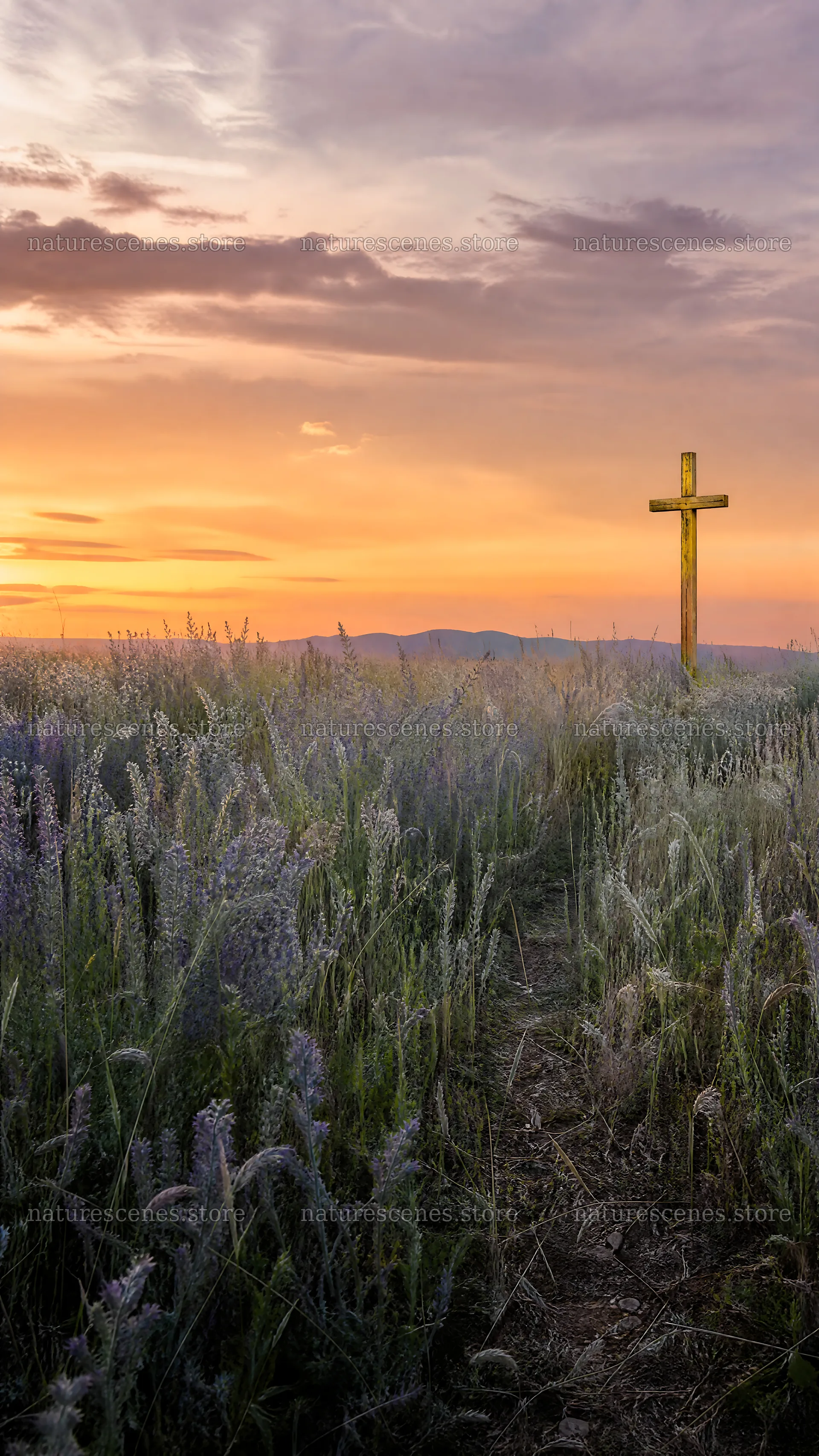 Golden cross in a meadow at sunset in a mountain valley – nature scenes 5952x10584