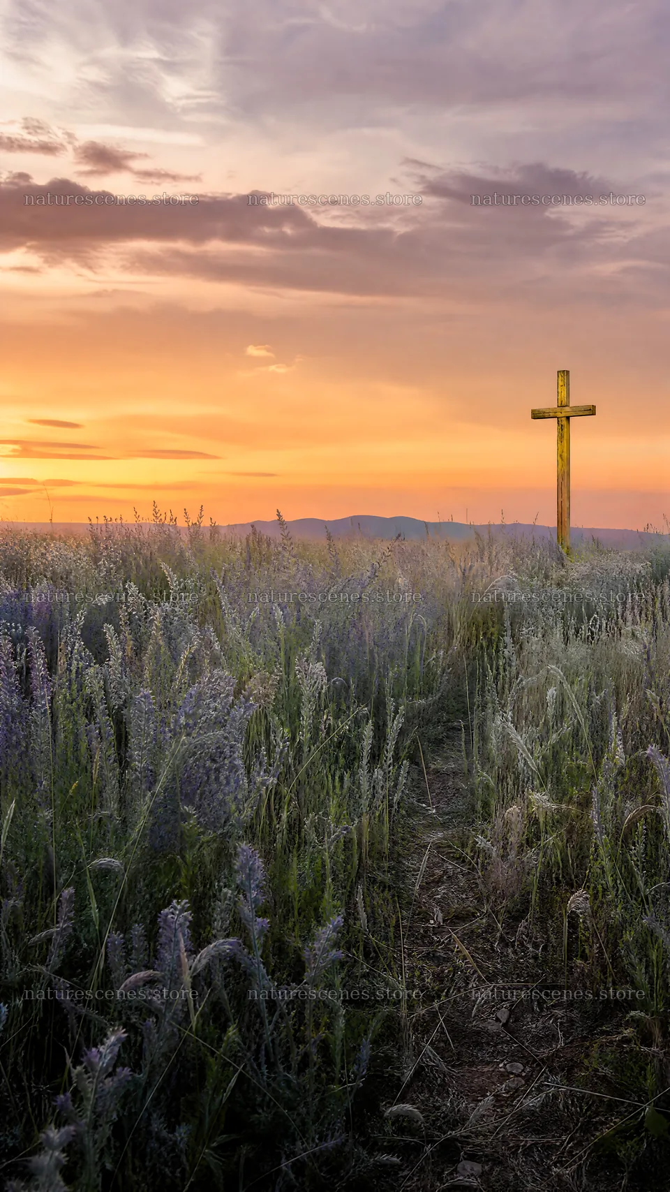 Golden cross in a meadow at sunset in a mountain valley – nature scenes 5952x10584