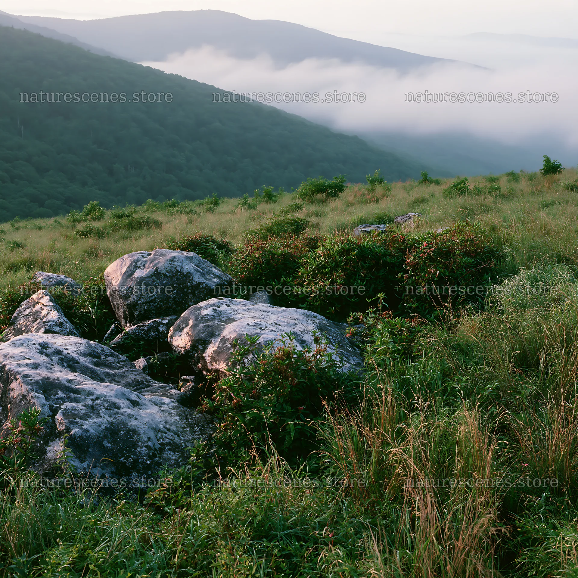 Meadow with boulders and low cloud cover in the mountains – nature scenes 7938x7938