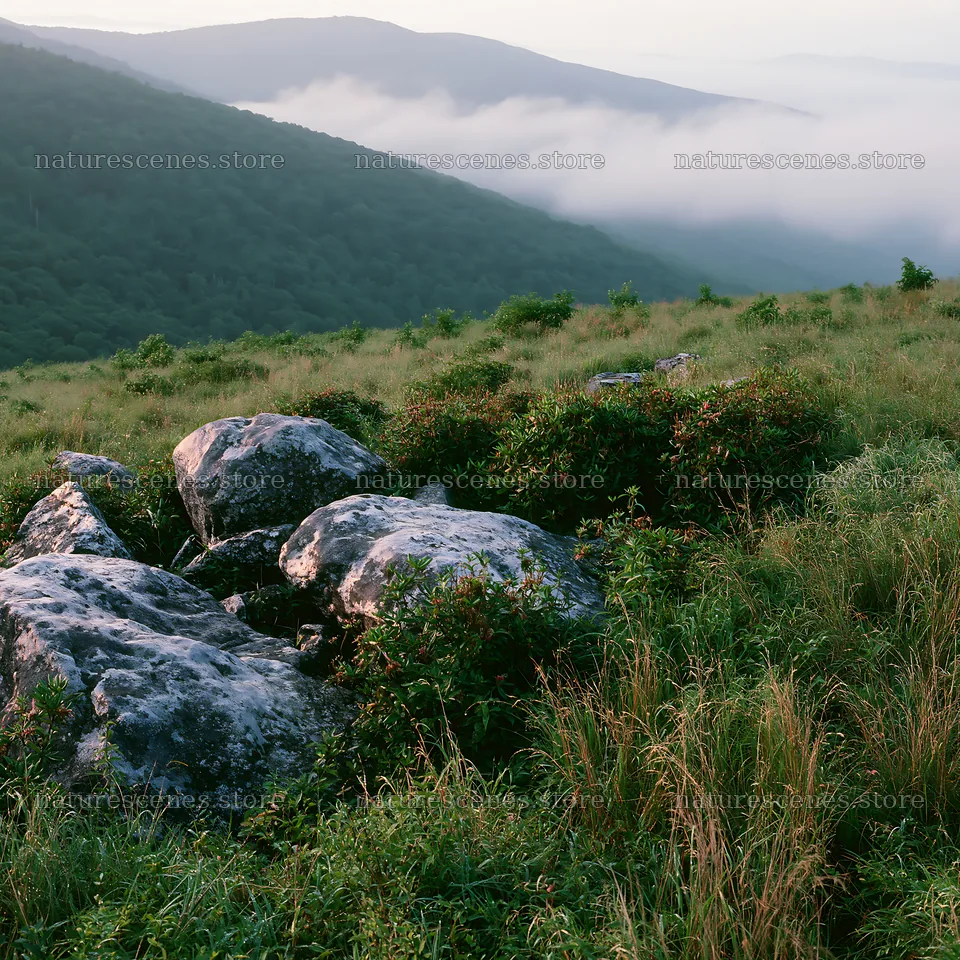 Meadow with boulders and low cloud cover in the mountains – nature scenes 7938x7938