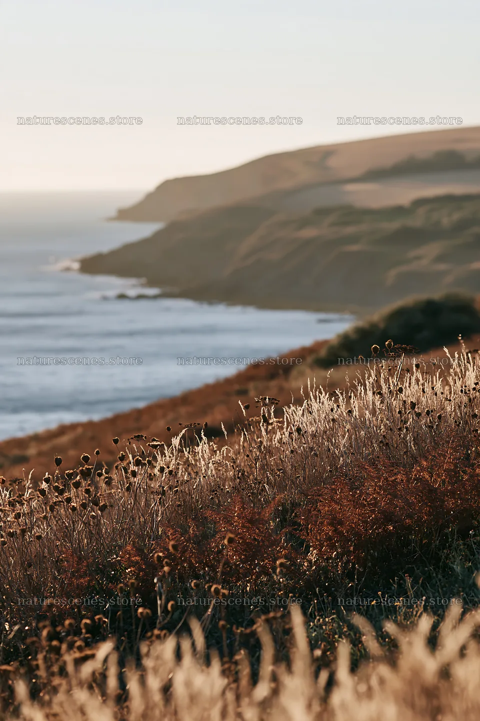 Clifftop meadow overlooking a coastal landscape – nature scenes 6480x9722