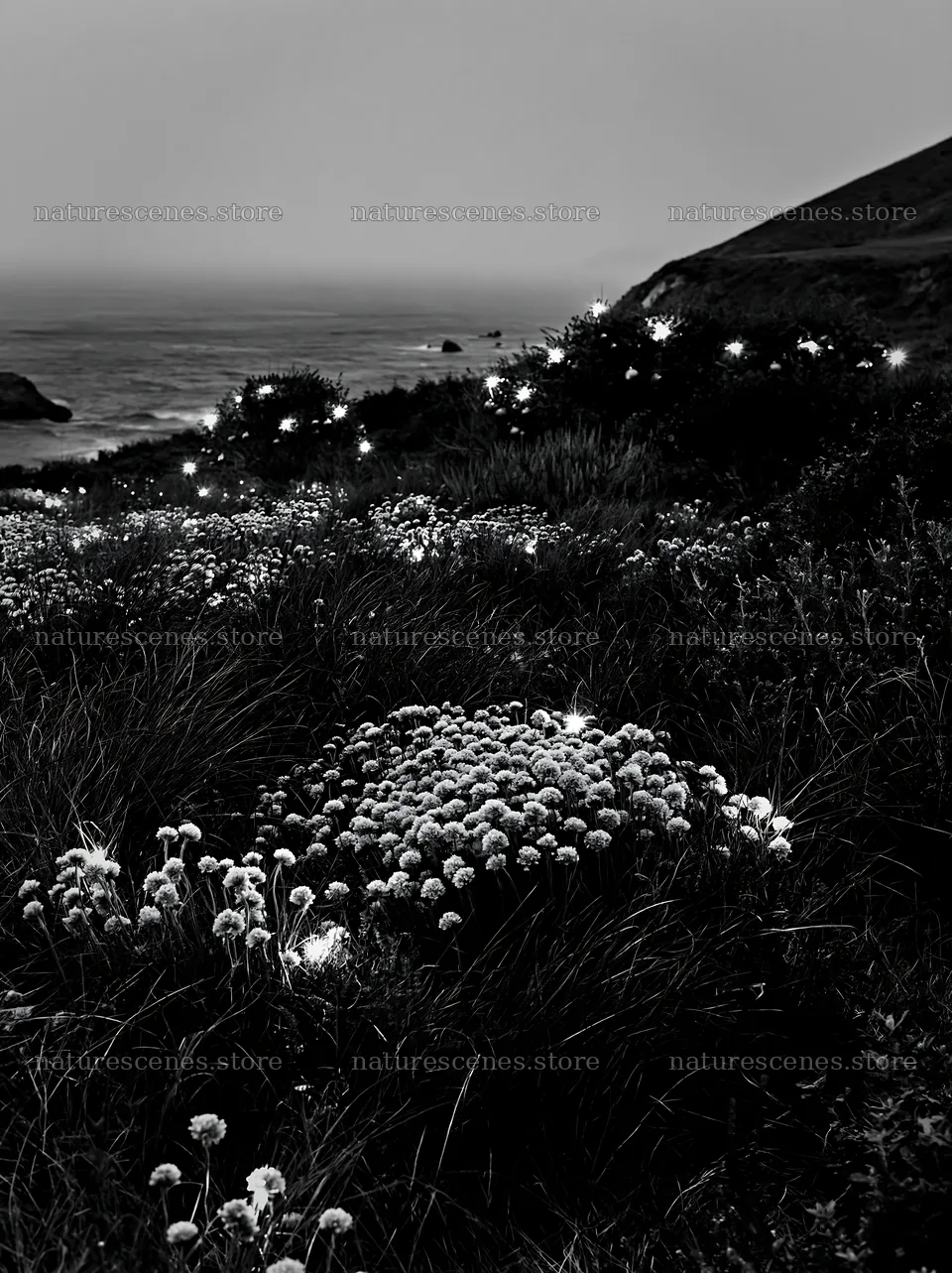 Open Christmas meadow along rugged coast with baubles – nature scenes 6866x9174