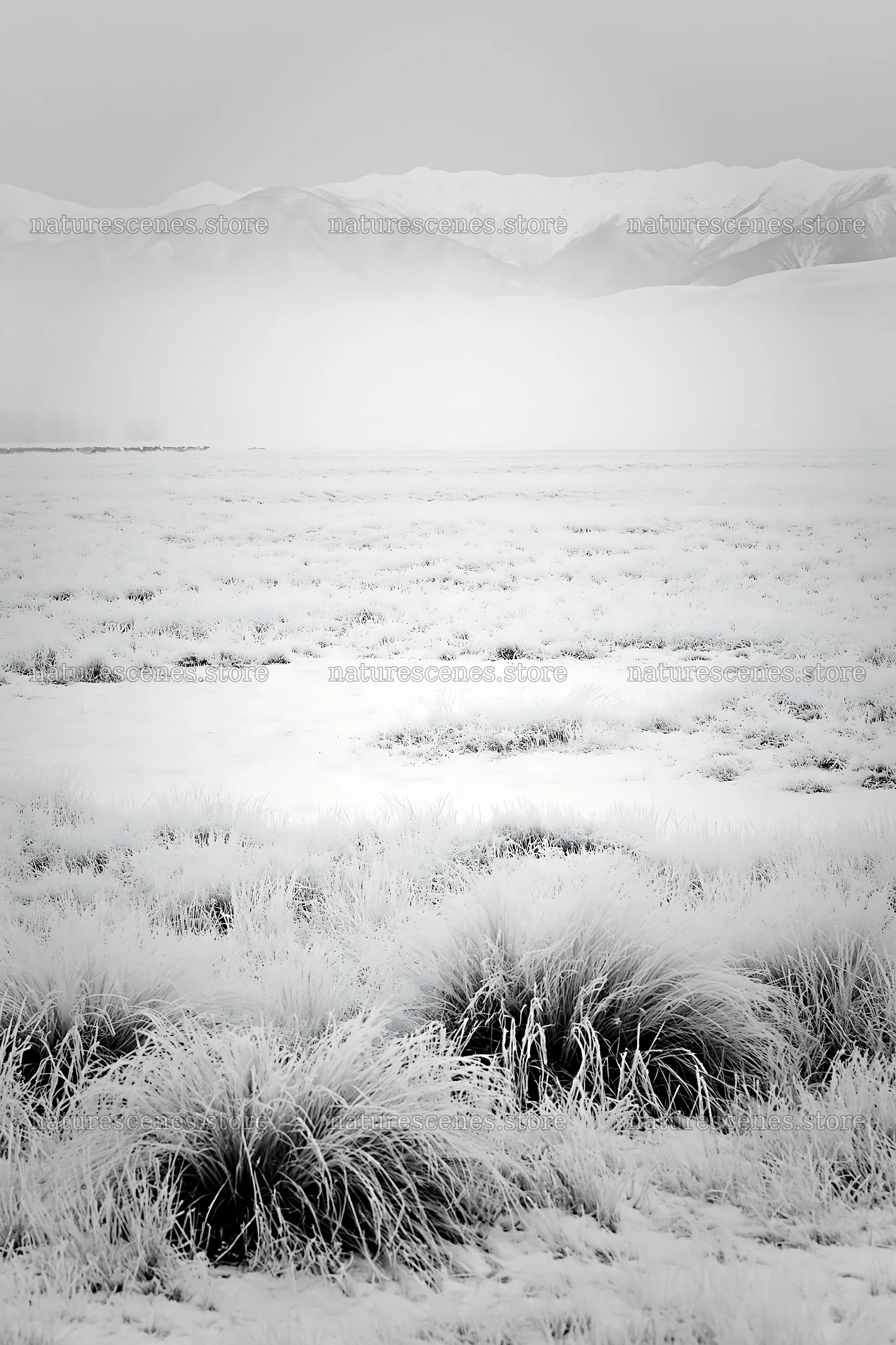 Snowy foothill meadow with frosted grass and distant mountains – nature scenes 6480x9722