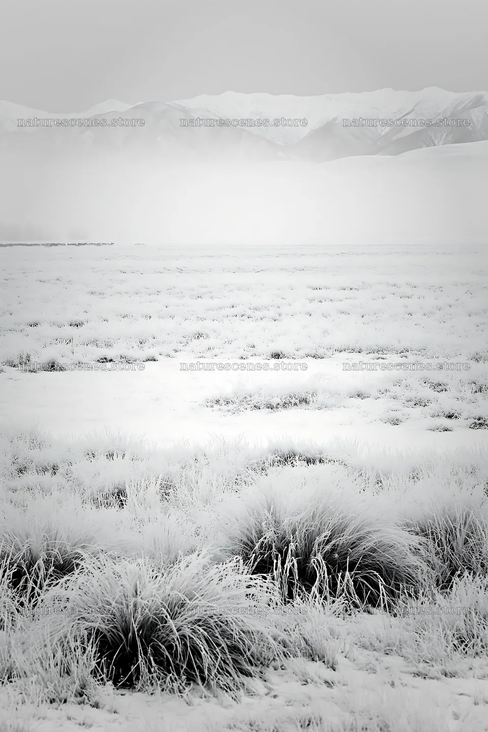 Snowy foothill meadow with frosted grass and distant mountains – nature scenes 6480x9722