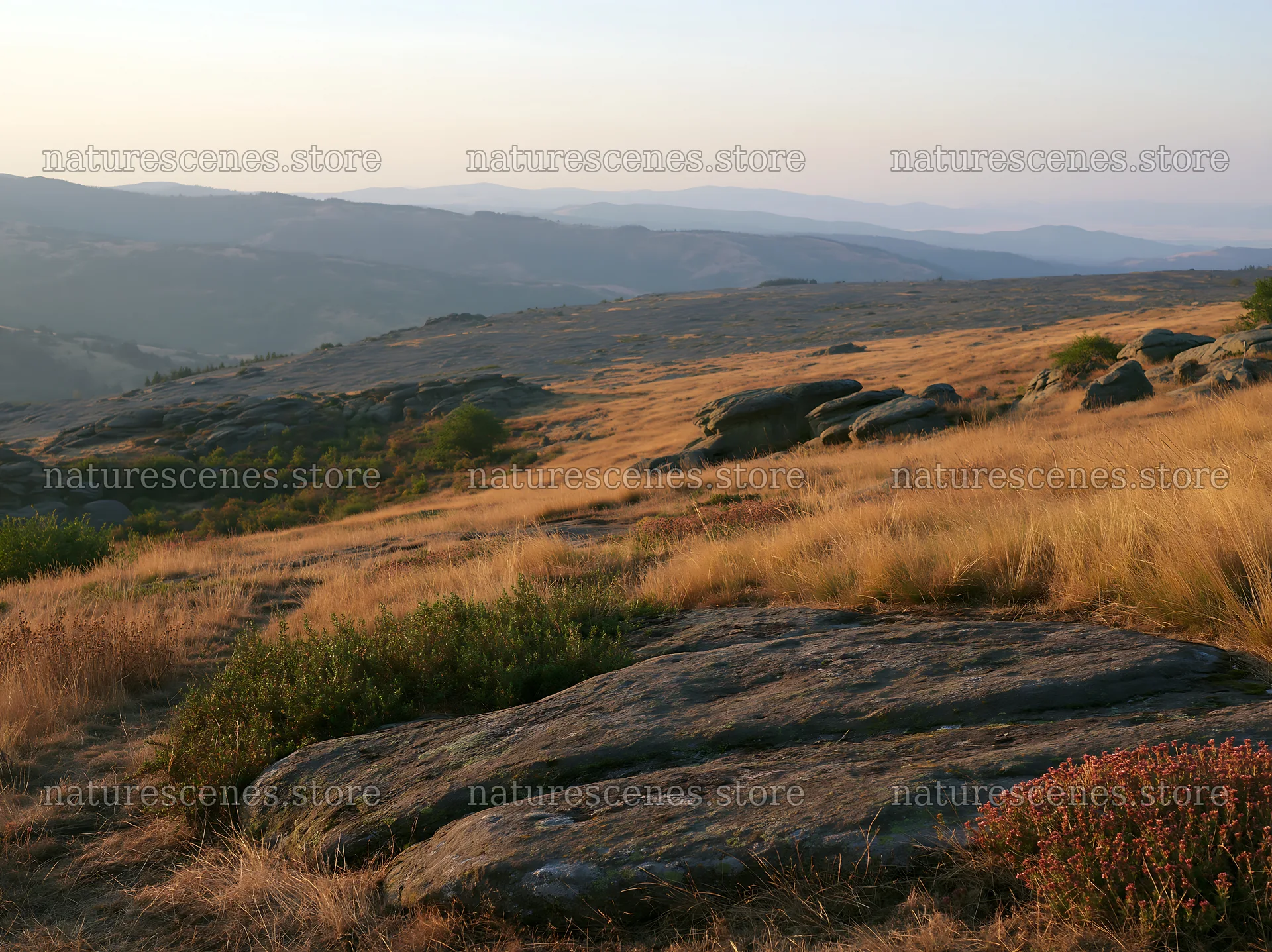 Rewilding meadow with rocks and grass under soft evening light – nature scenes 9174x6866