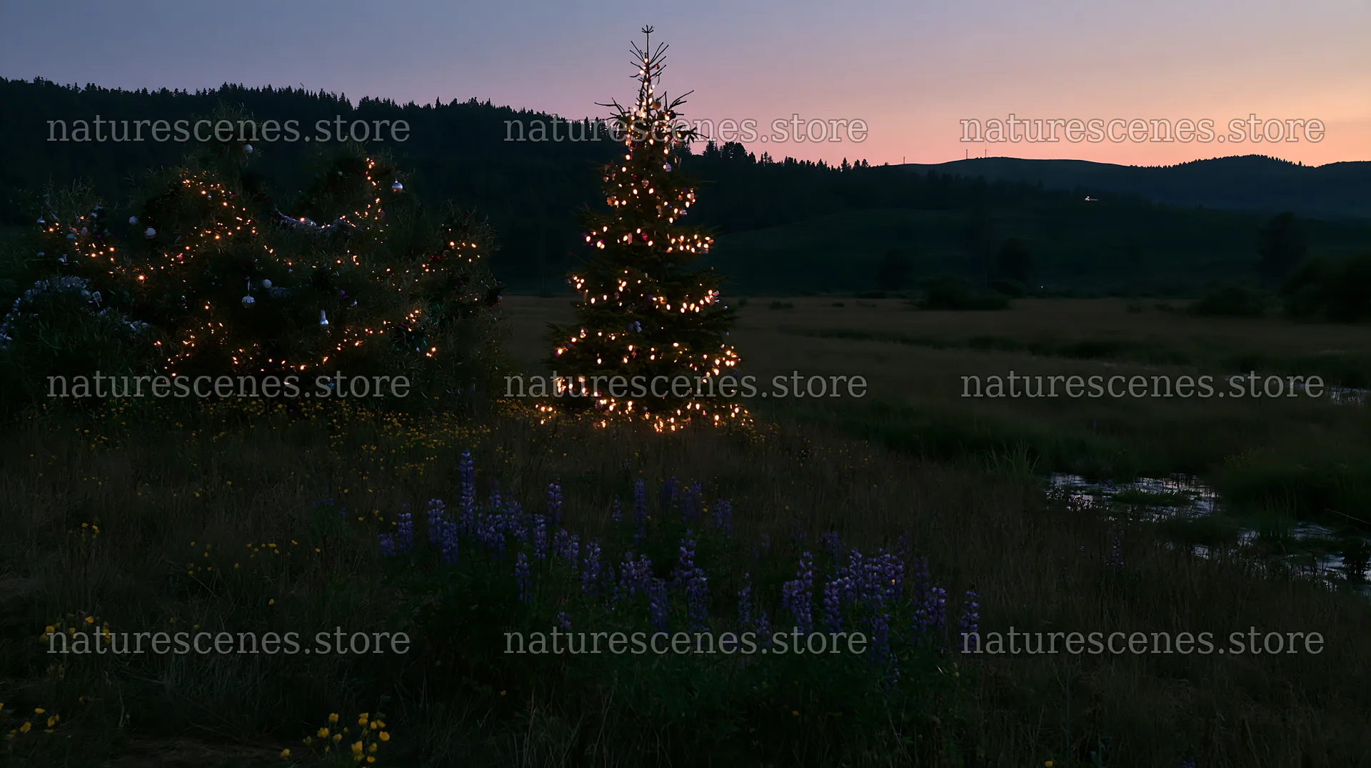 Christmas tree with lights beside stream in meadow at dusk – nature scenes 10608x5938