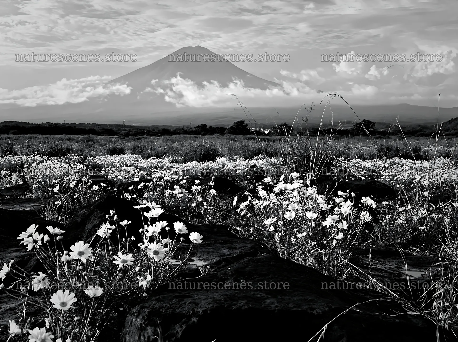 Yamanashi regenerative meadow with basalt stones and flowers – nature scenes 9174x6866