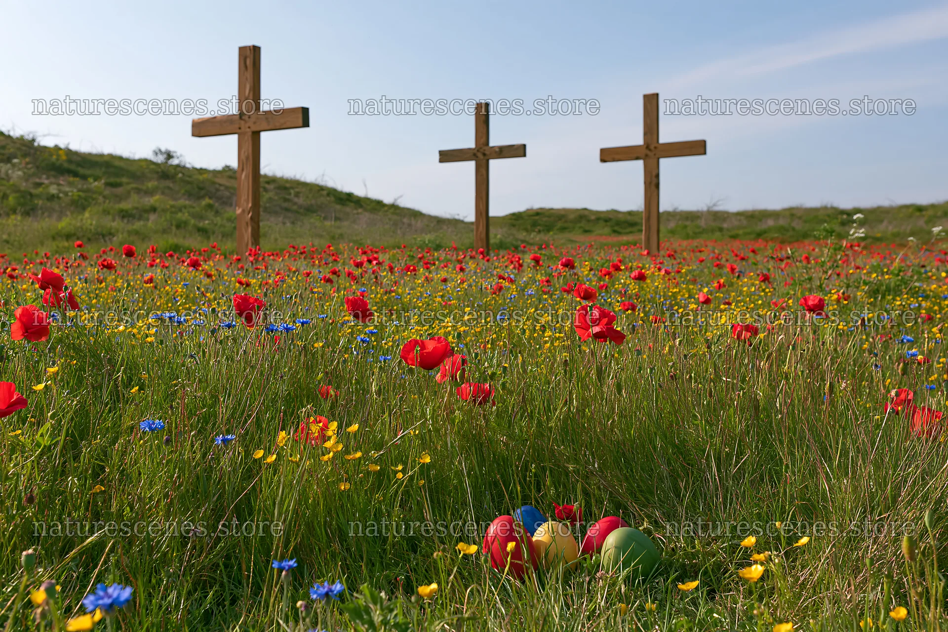 Christian crosses in meadow with flowers and colored eggs – nature scenes 9722x6480
