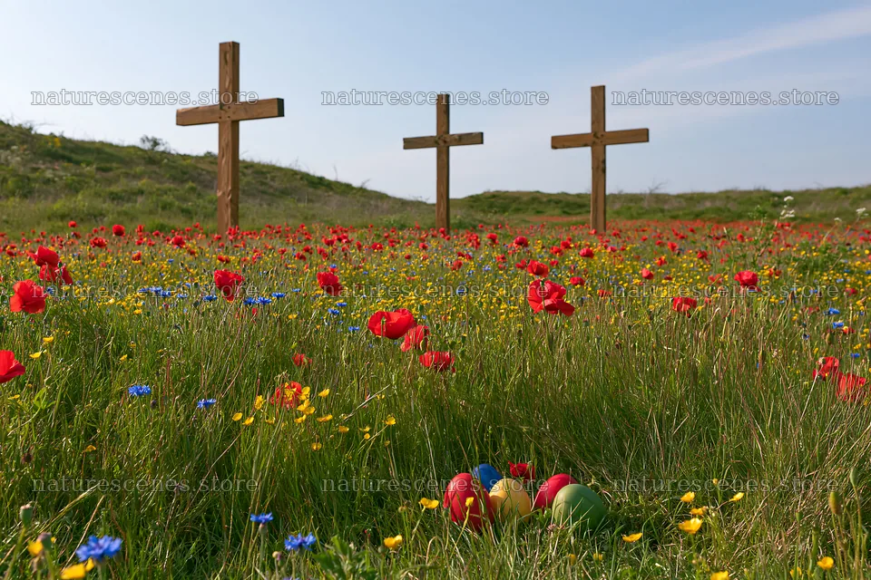Christian crosses in meadow with flowers and colored eggs – nature scenes 9722x6480