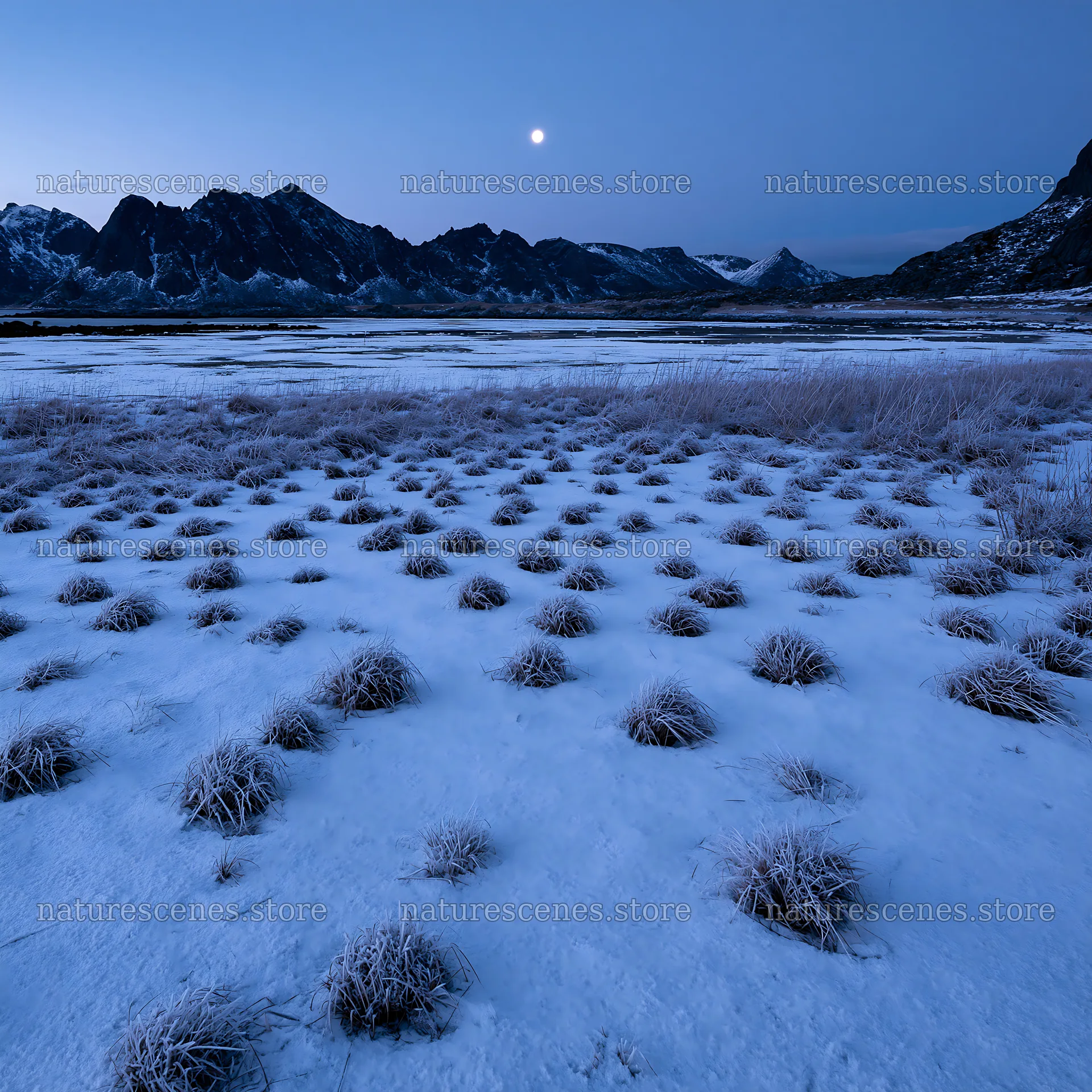 Coastal meadow in Lofoten with snow under the full moon – nature scenes 7938x7938