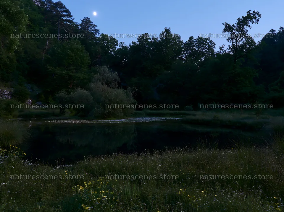 Moonlit meadow with pond and trees at dusk – nature scenes 9174x6866