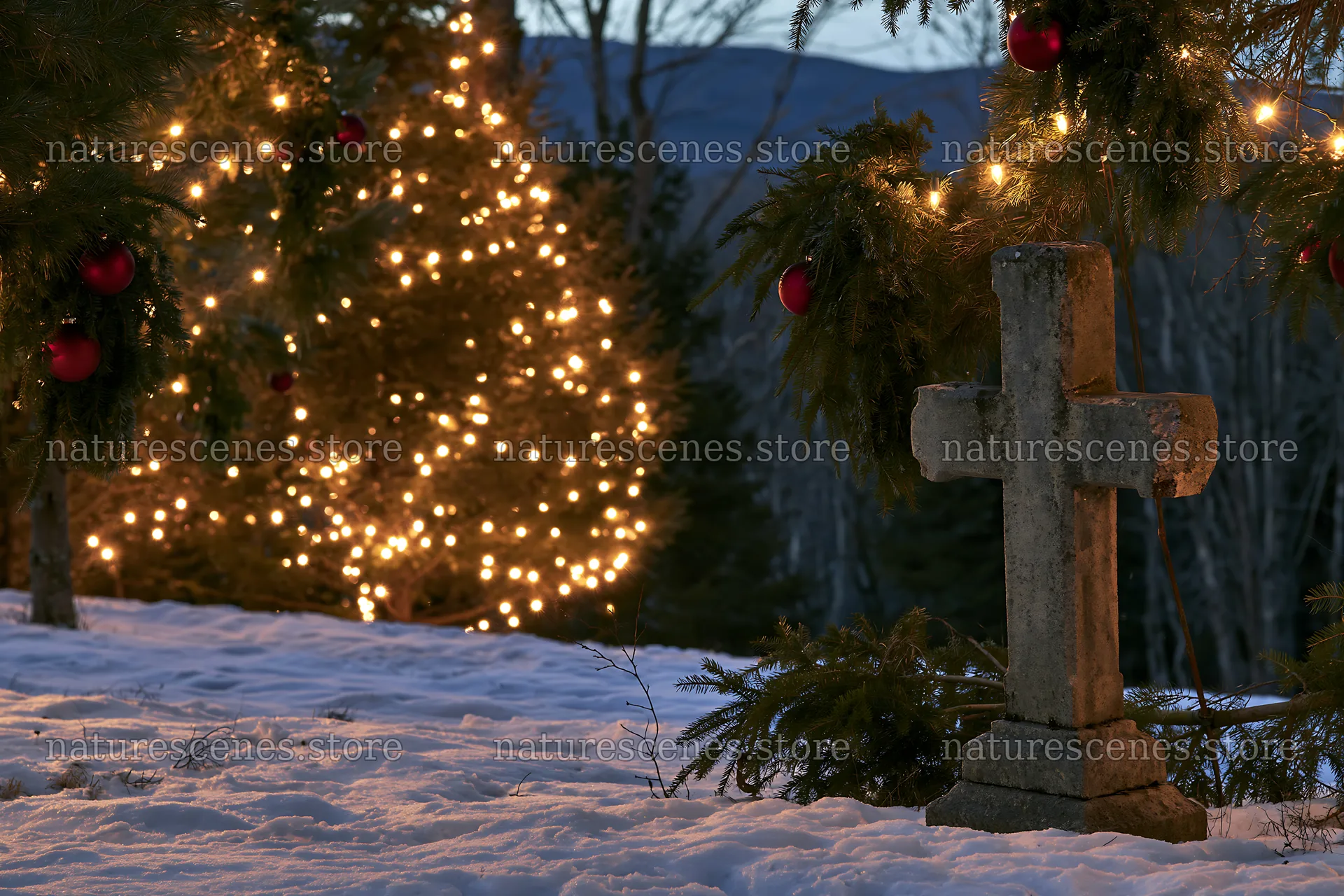Weathered Christian cross beside lit Christmas trees in snow – nature scenes 9722x6480