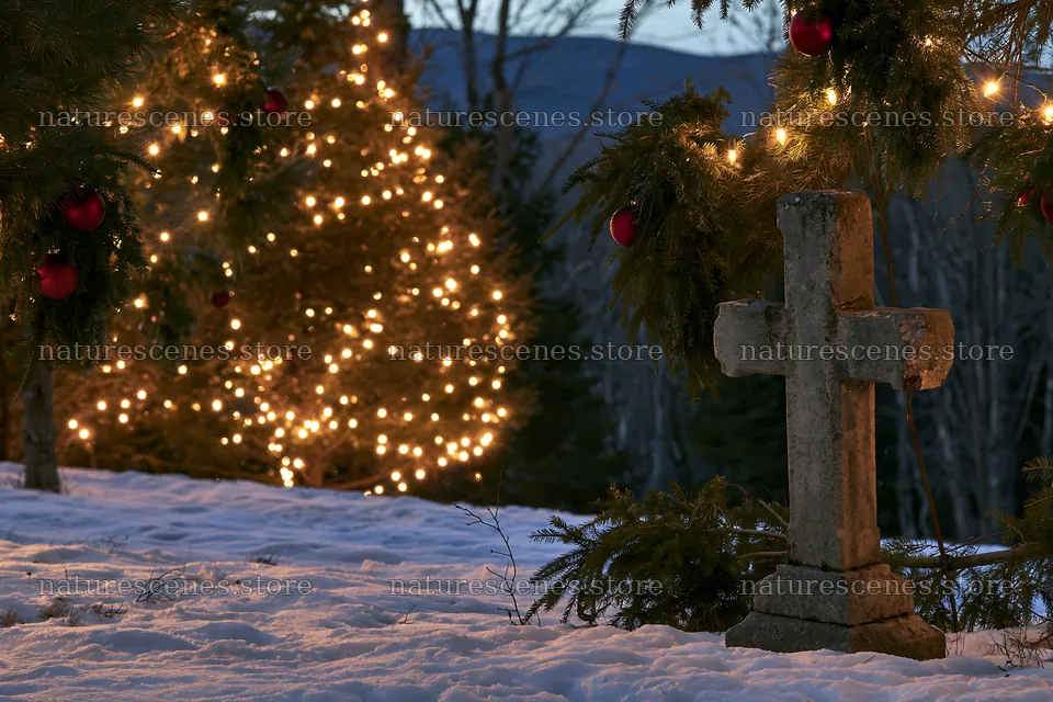 Weathered Christian cross beside lit Christmas trees in snow – nature scenes 9722x6480