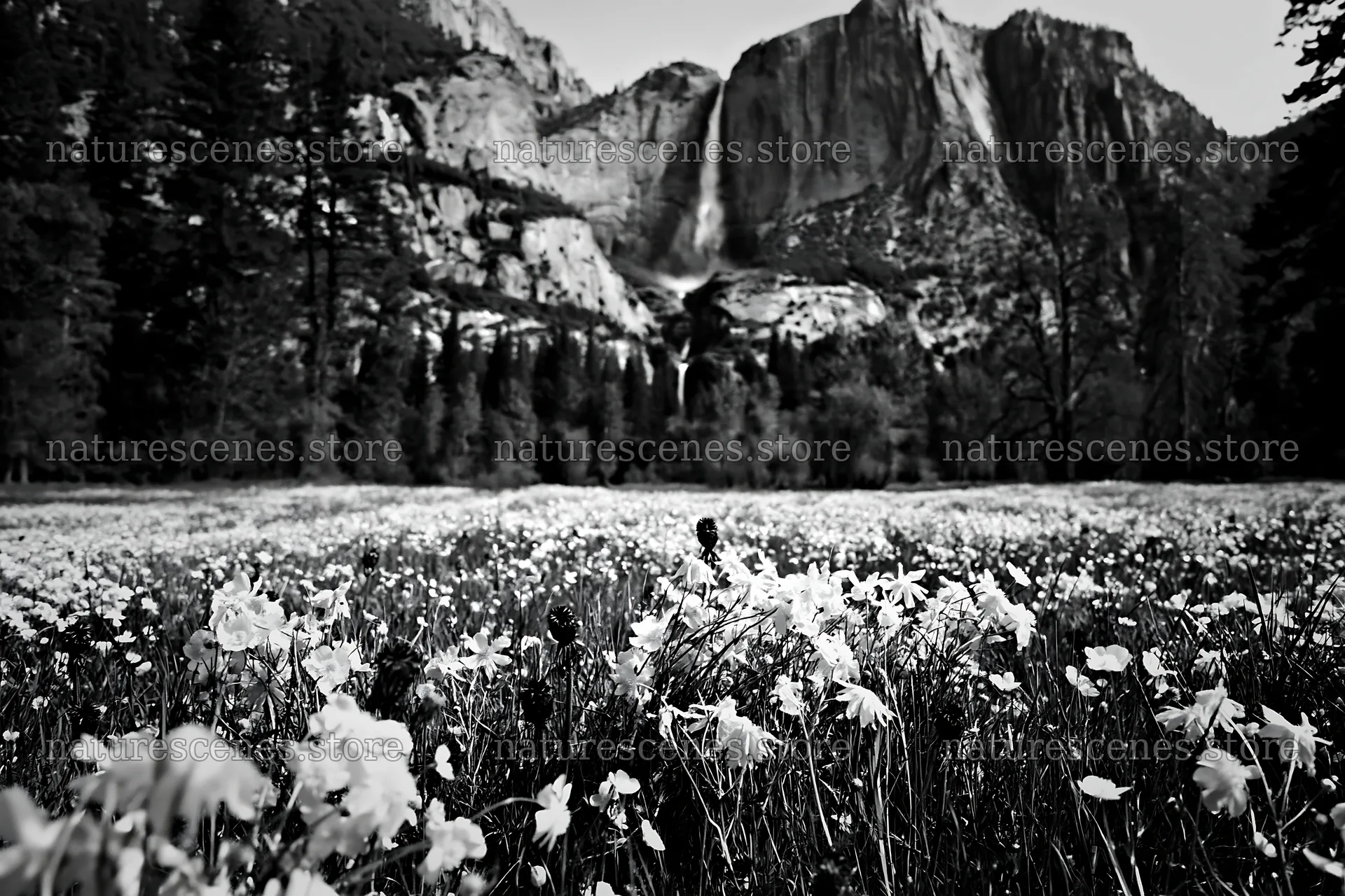 Cascade valley flower meadow with mountains and waterfall – nature scenes 9722x6480