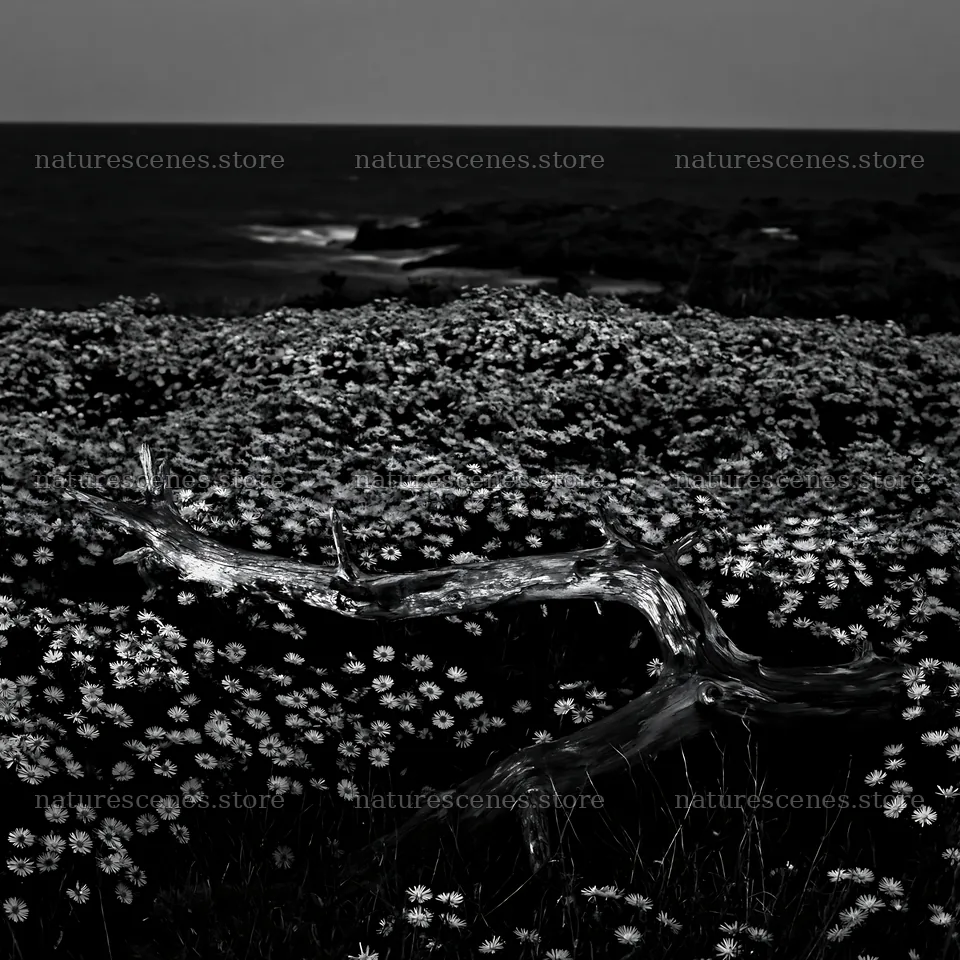 Chiba coastal climate meadow with driftwood by the ocean – nature scenes 7938x7938