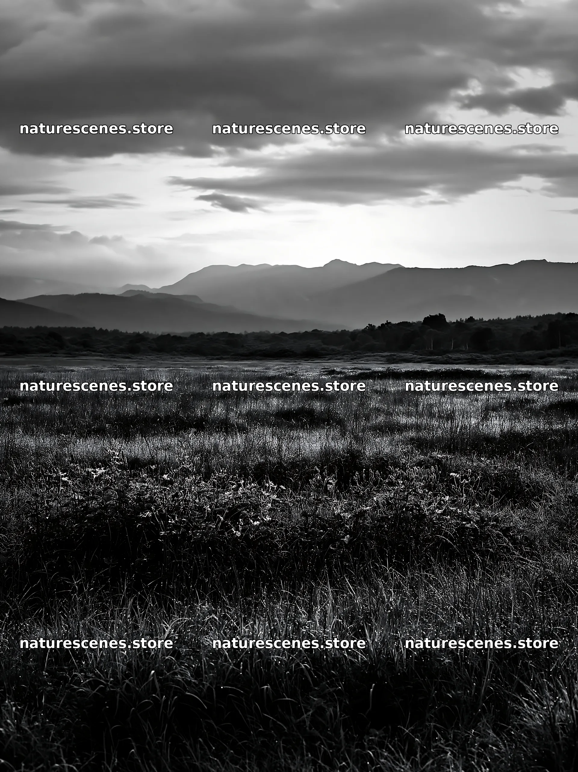 Expansive Hokkaido restoration meadow with dewdrops – nature scenes 6866x9174