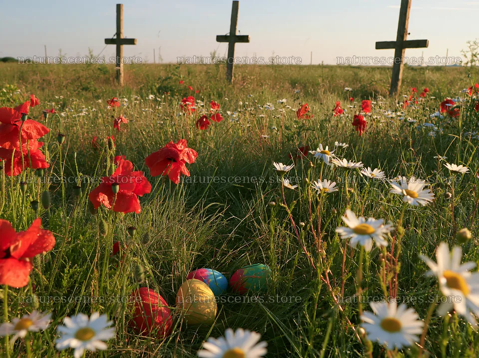 Christian crosses in a meadow with flowers and colored eggs – nature scenes 9174x6866