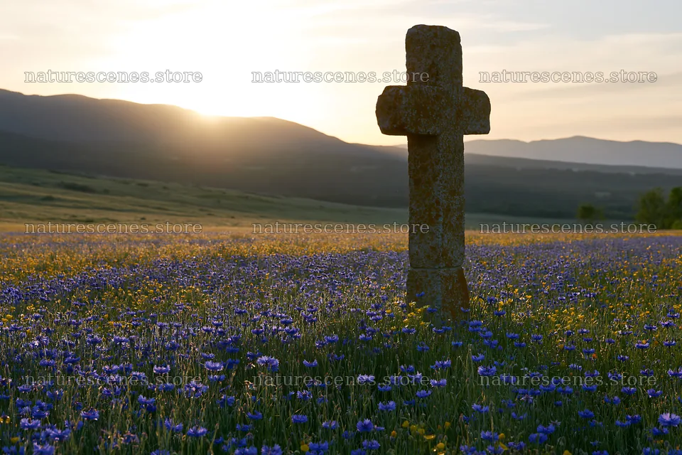Christian cross in summer meadow at sunset – nature scenes 9722x6480