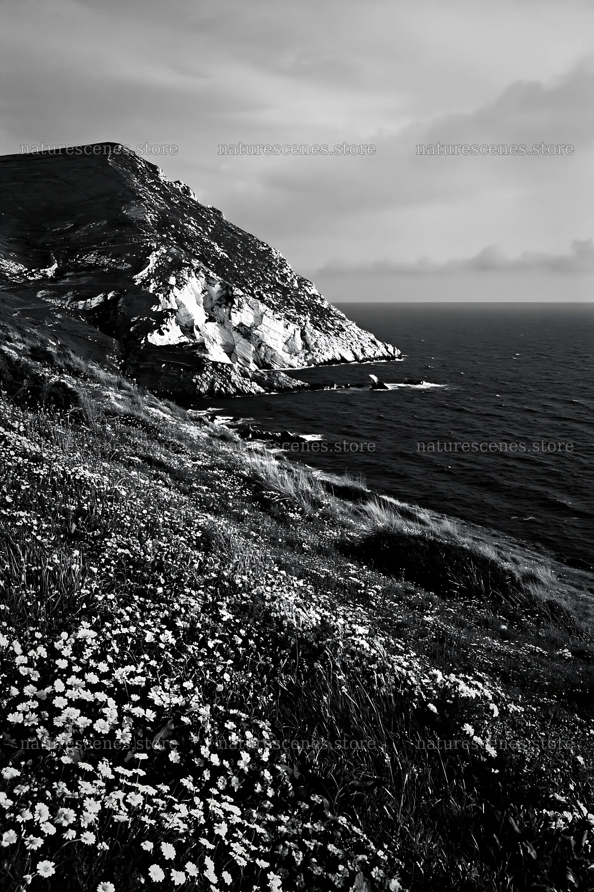 Italian meadow along rocky coast with flowers and sea view – nature scenes 6480x9722