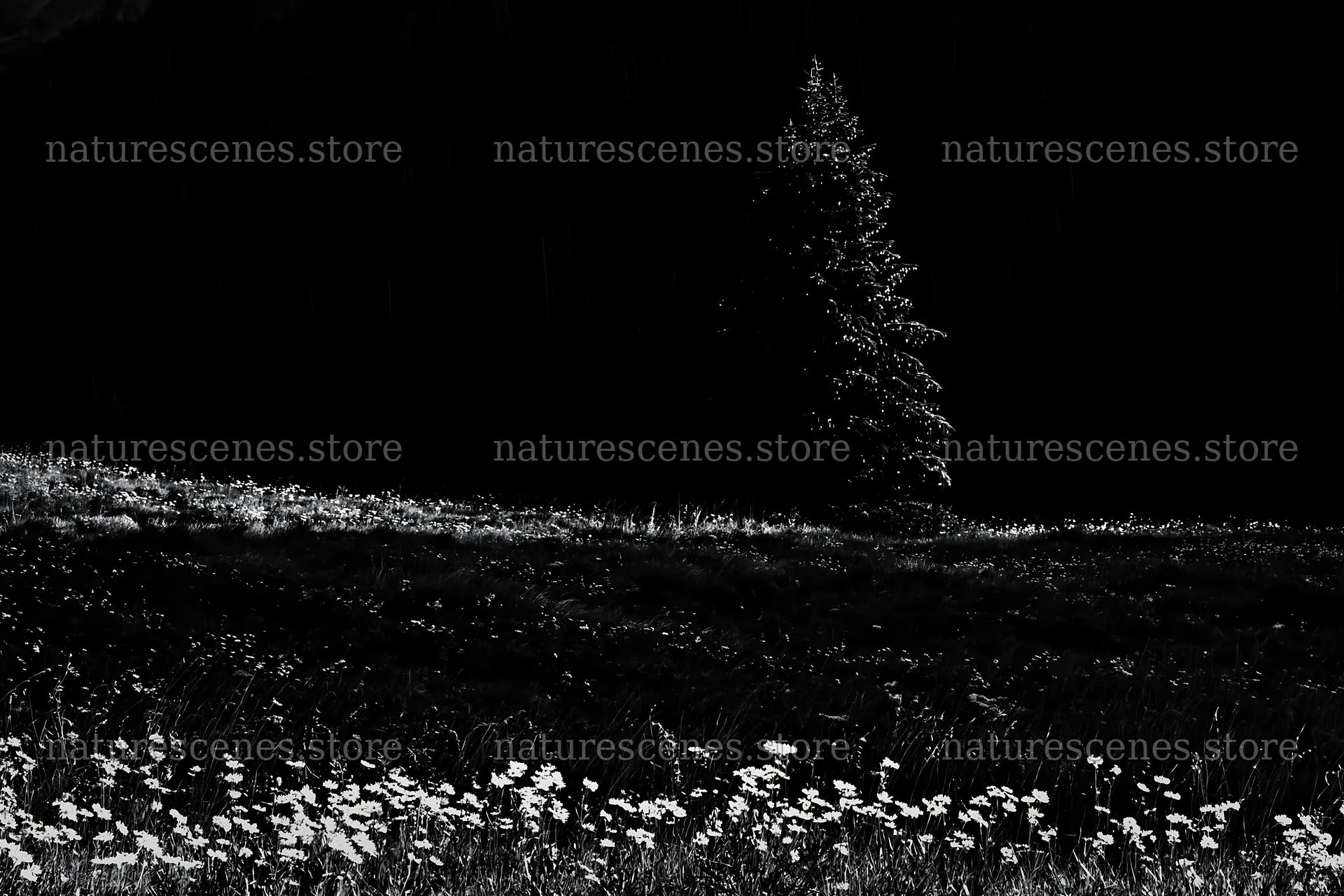 Christmas tree with lights in snowy mountain valley meadow – nature scenes 9722x6480