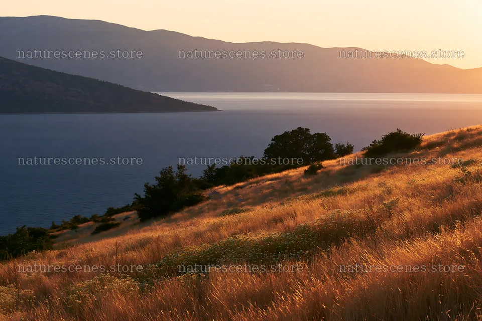 Meadow landscape above Adriatic coast at sunset – nature scenes 9722x6480