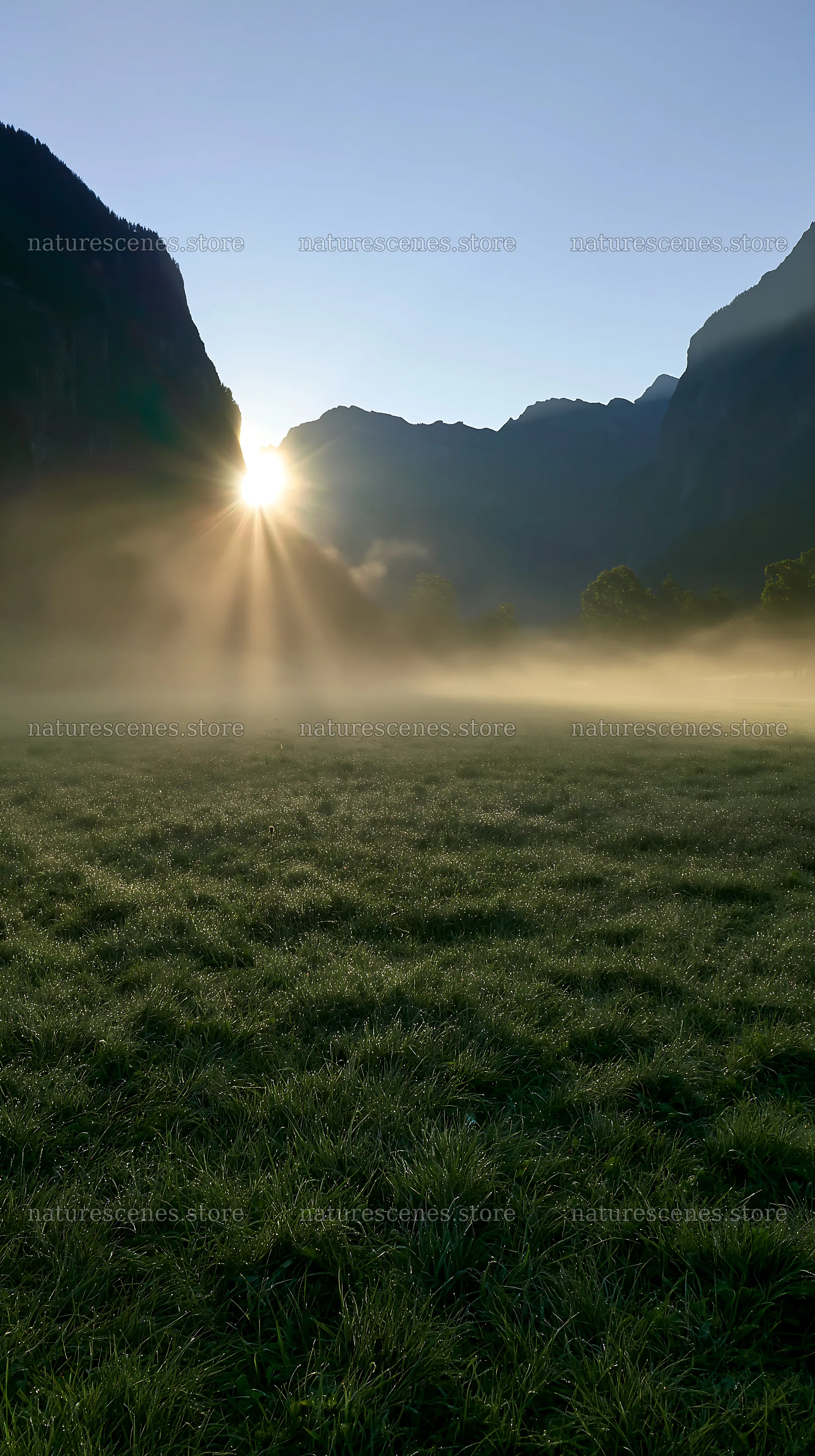 Light rays shining over Lauterbrunnen Valley meadow in morning – nature scenes 5938x10608