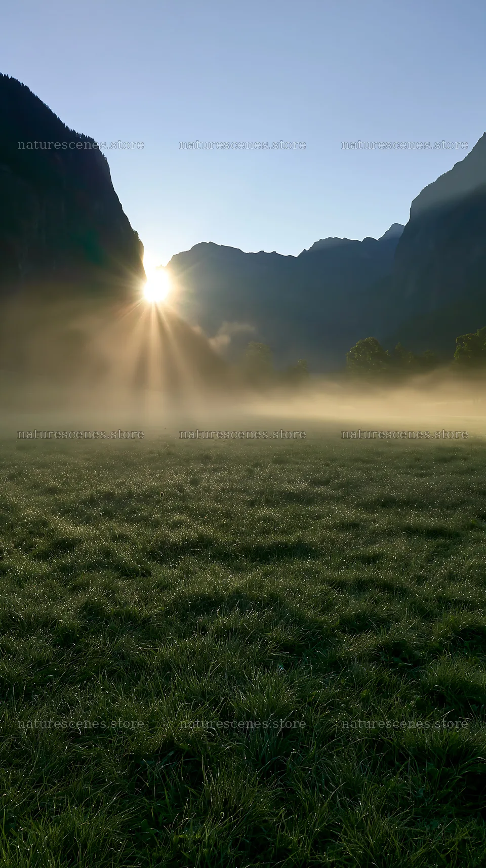Light rays shining over Lauterbrunnen Valley meadow in morning – nature scenes 5938x10608