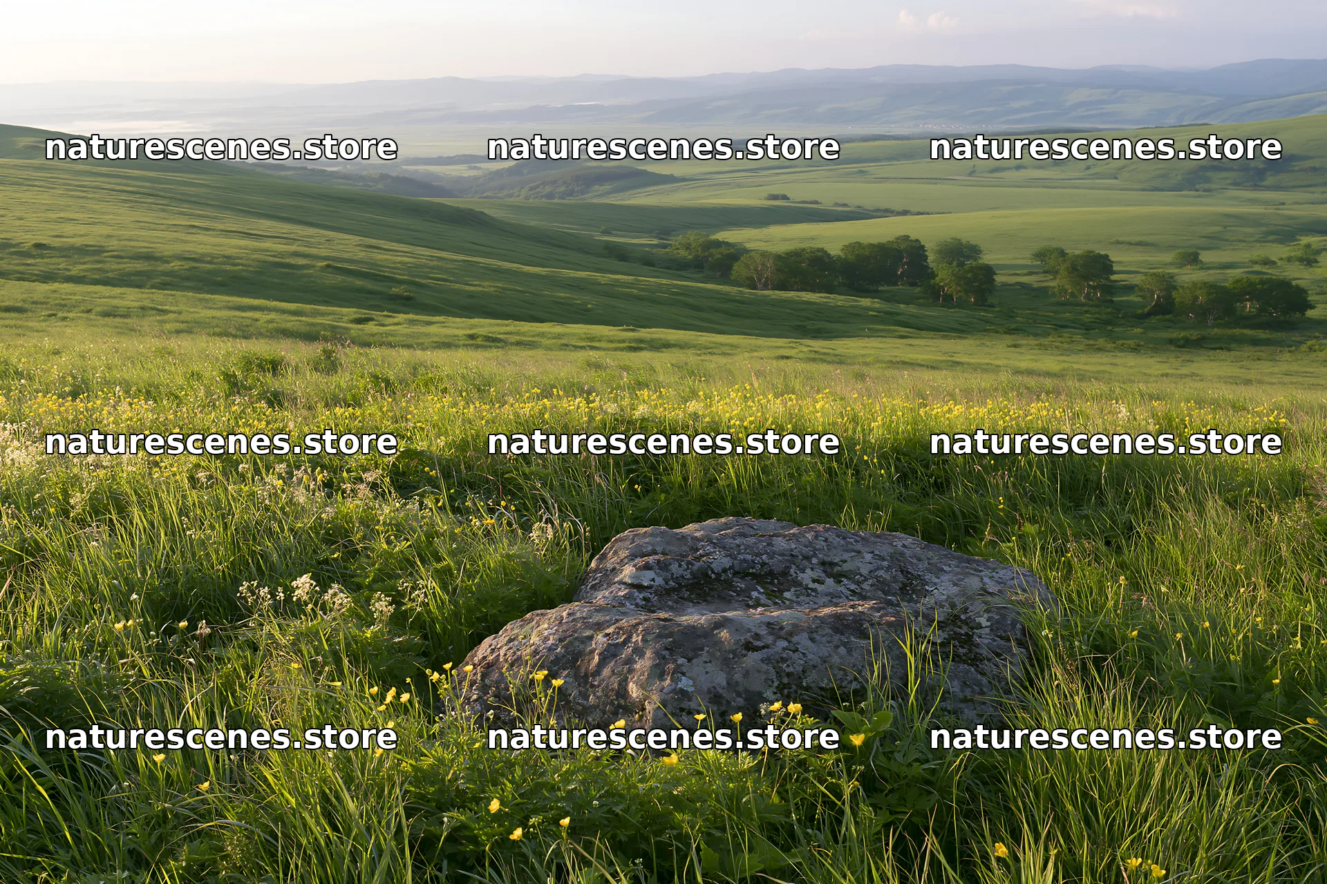 Aomori climate resilient meadow with boulder – nature scenes 9722x6480