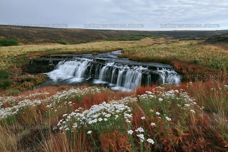 Wildflower meadow beside cascade in natural landscape – nature scenes 9722x6480