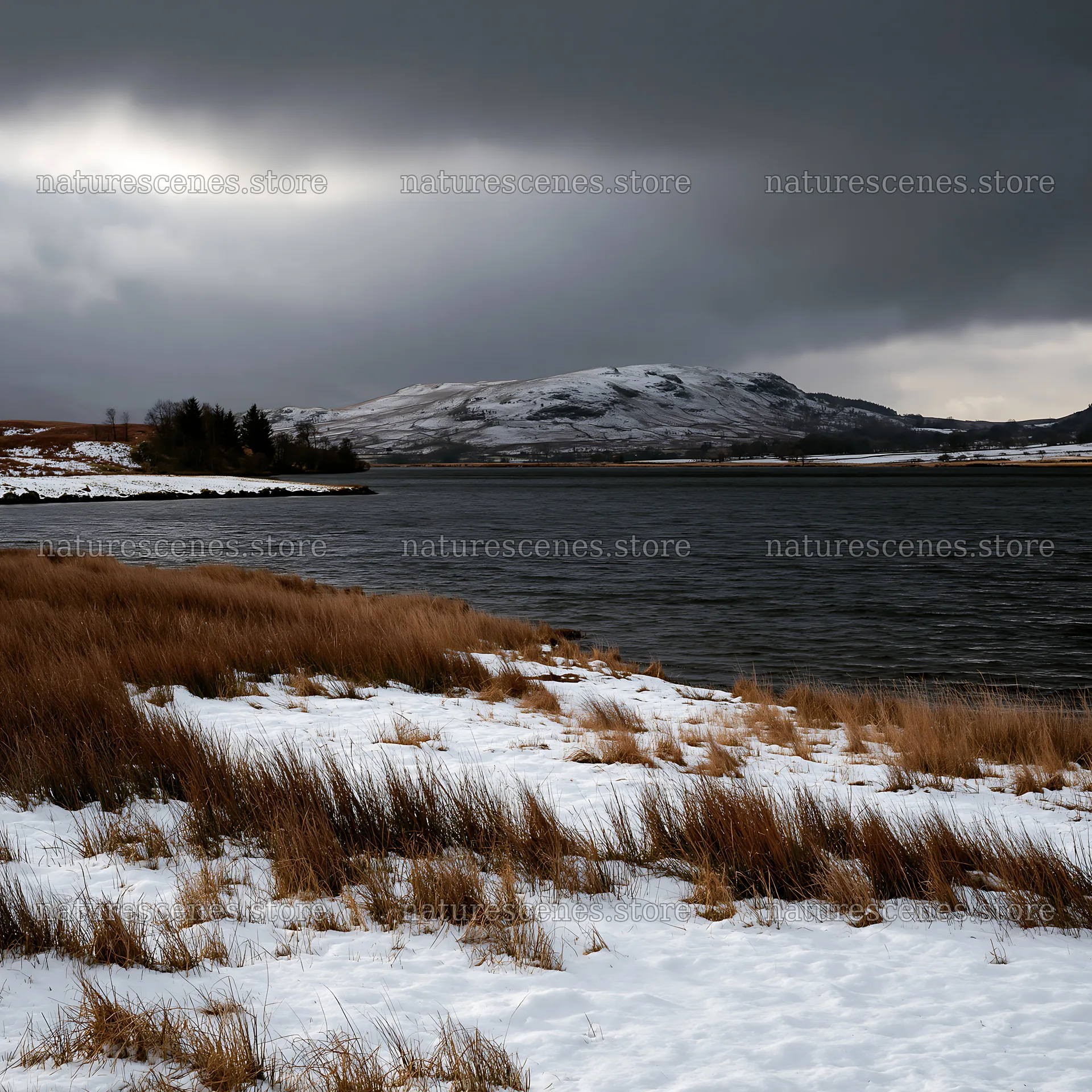 Snowy lakeside meadow under dark clouds – nature scenes 7938x7938