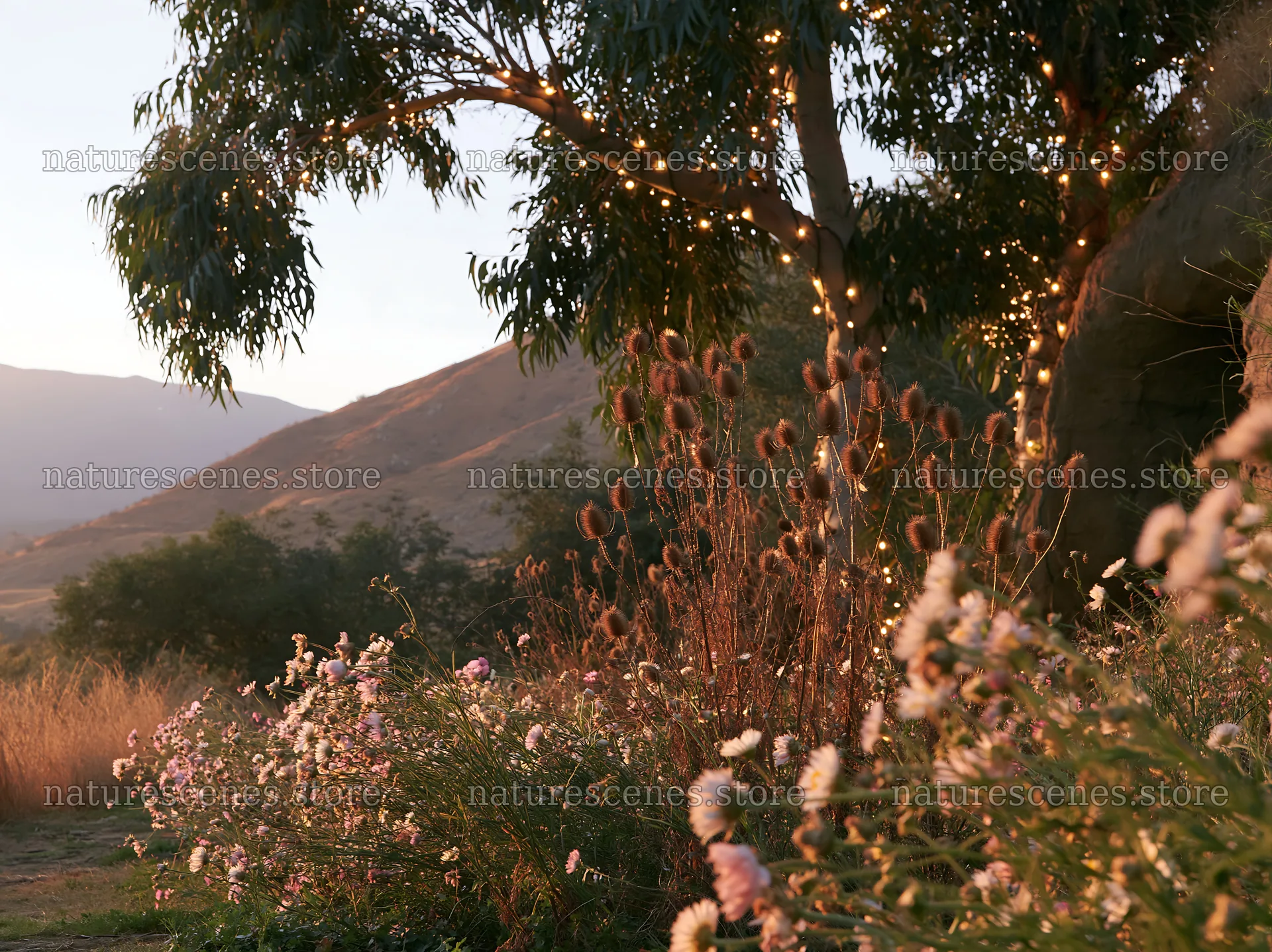 Christmas lights beside cave in meadow at sunset – nature scenes 9174x6866