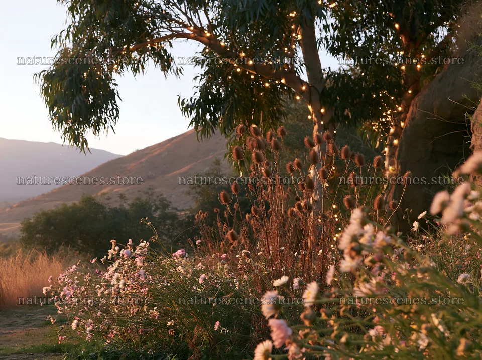 Christmas lights beside cave in meadow at sunset – nature scenes 9174x6866