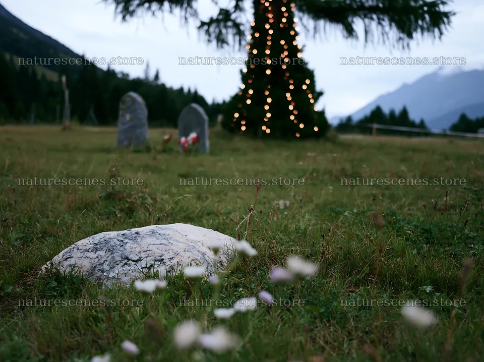 Christmas decorations beside tree in mountain valley meadow – nature scenes 9174x6866