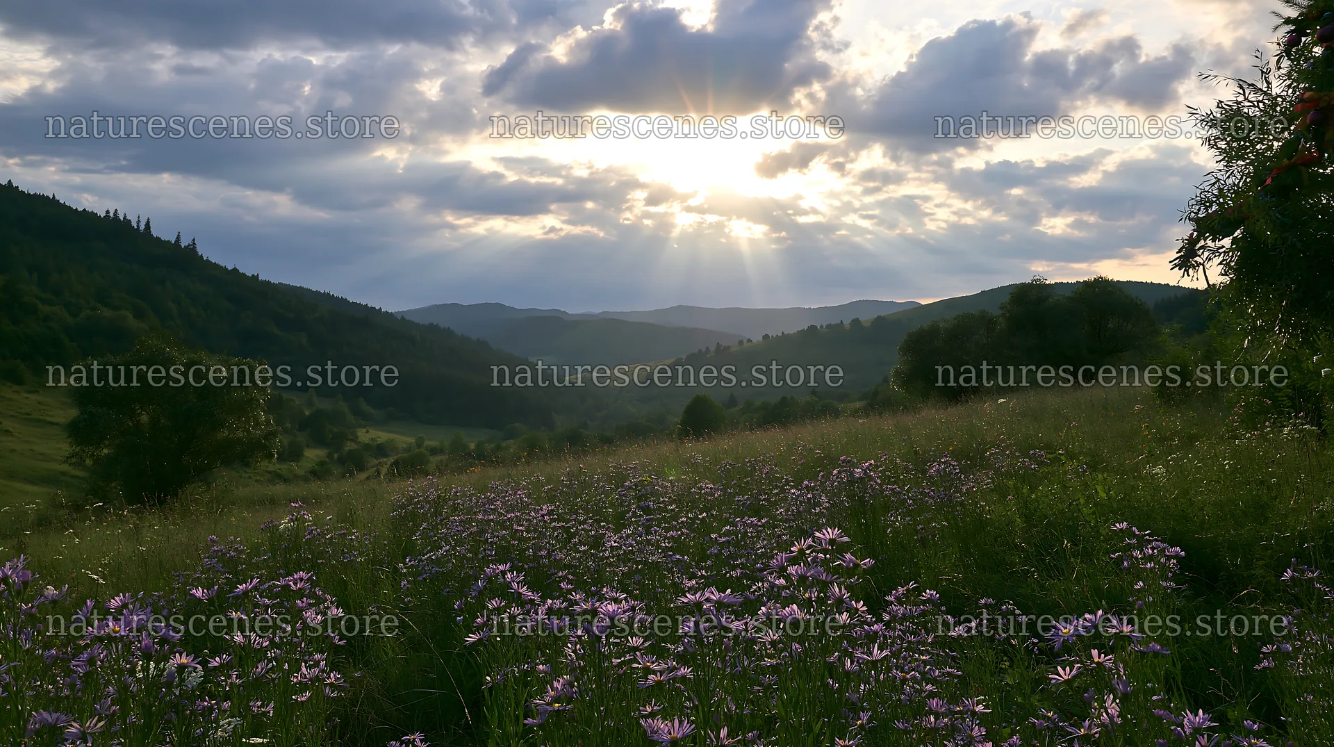 Christmas garlands across meadow landscape under cloudy sunbeams – nature scenes 10608x5938