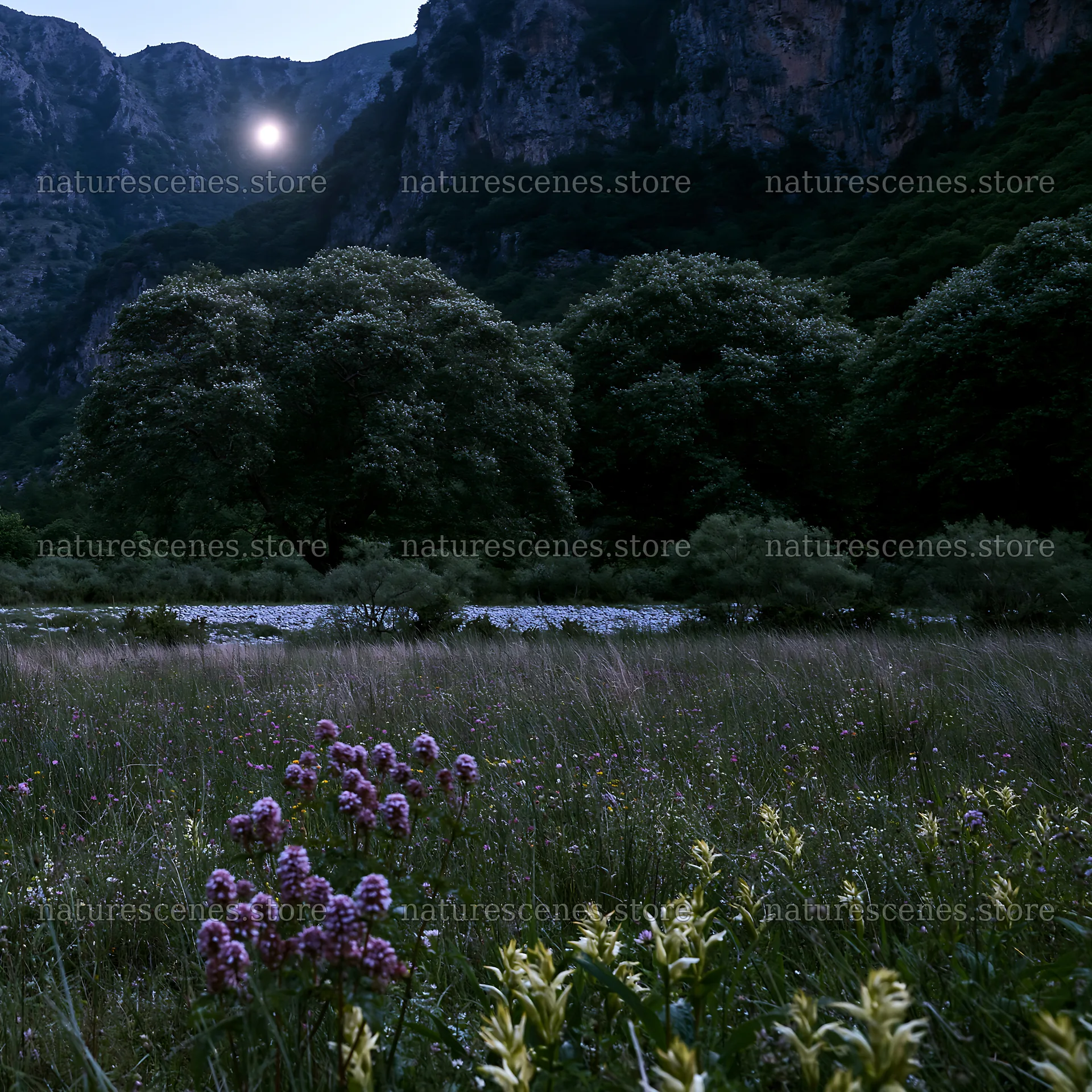 Moonlit meadow with flowers and mountains in the background – nature scenes 7938x7938
