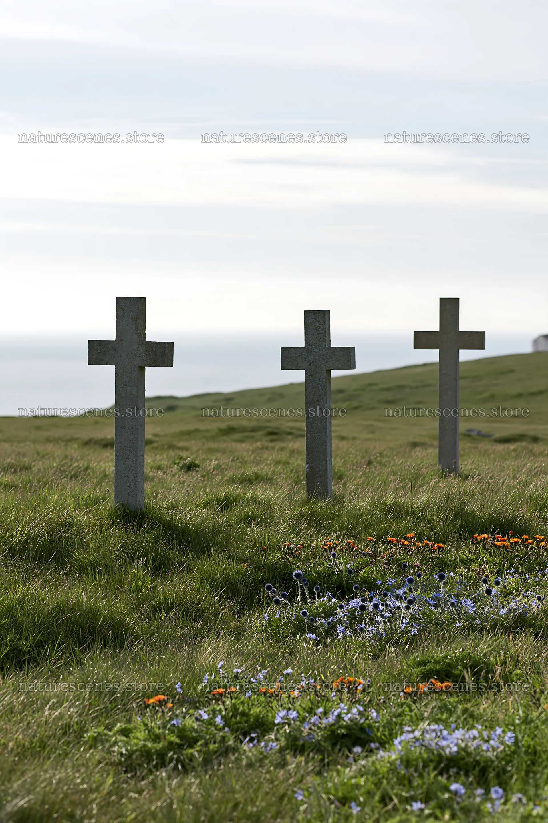 Three Christian crosses in a quiet meadow by the sea – nature scenes 6480x9722
