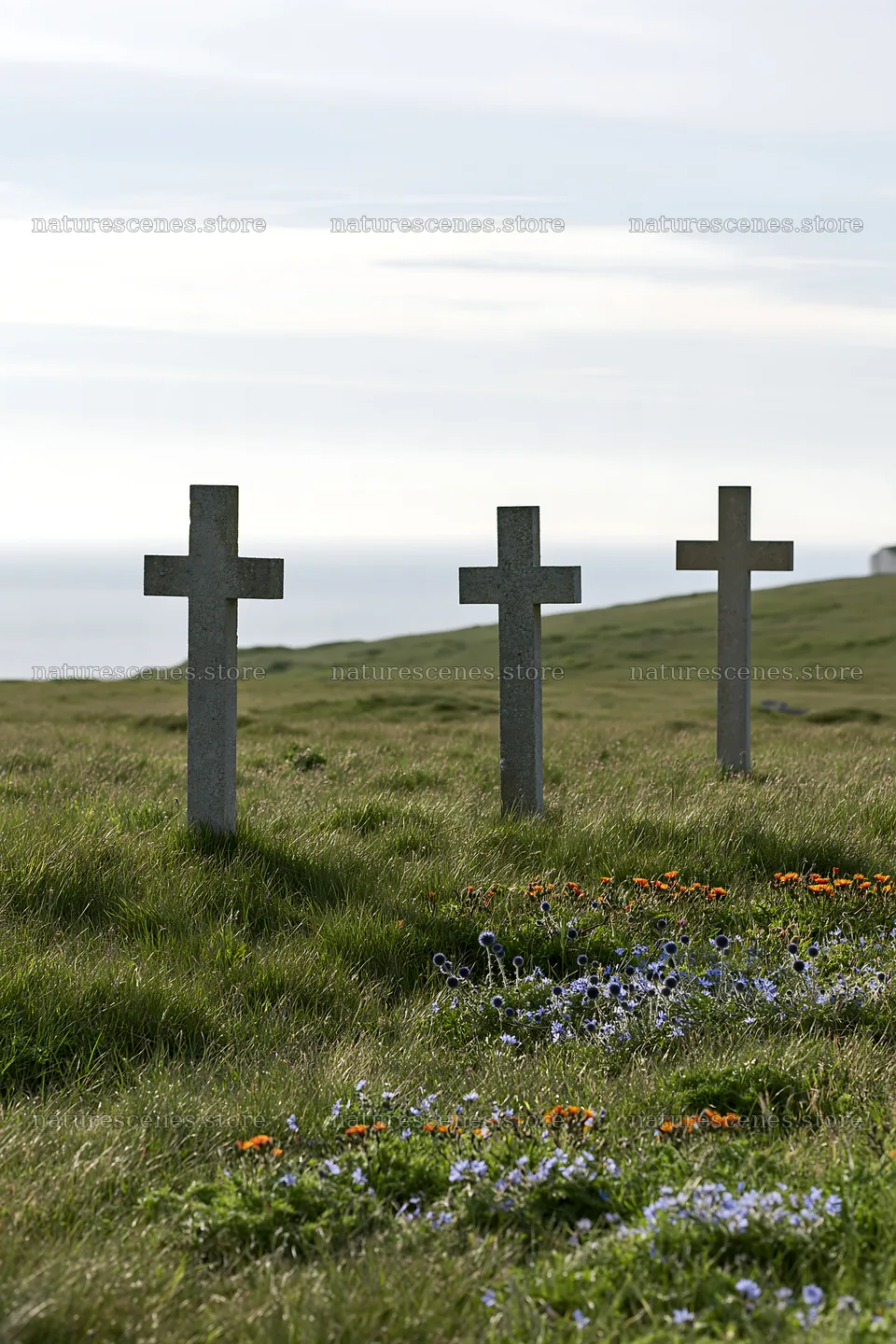 Three Christian crosses in a quiet meadow by the sea – nature scenes 6480x9722