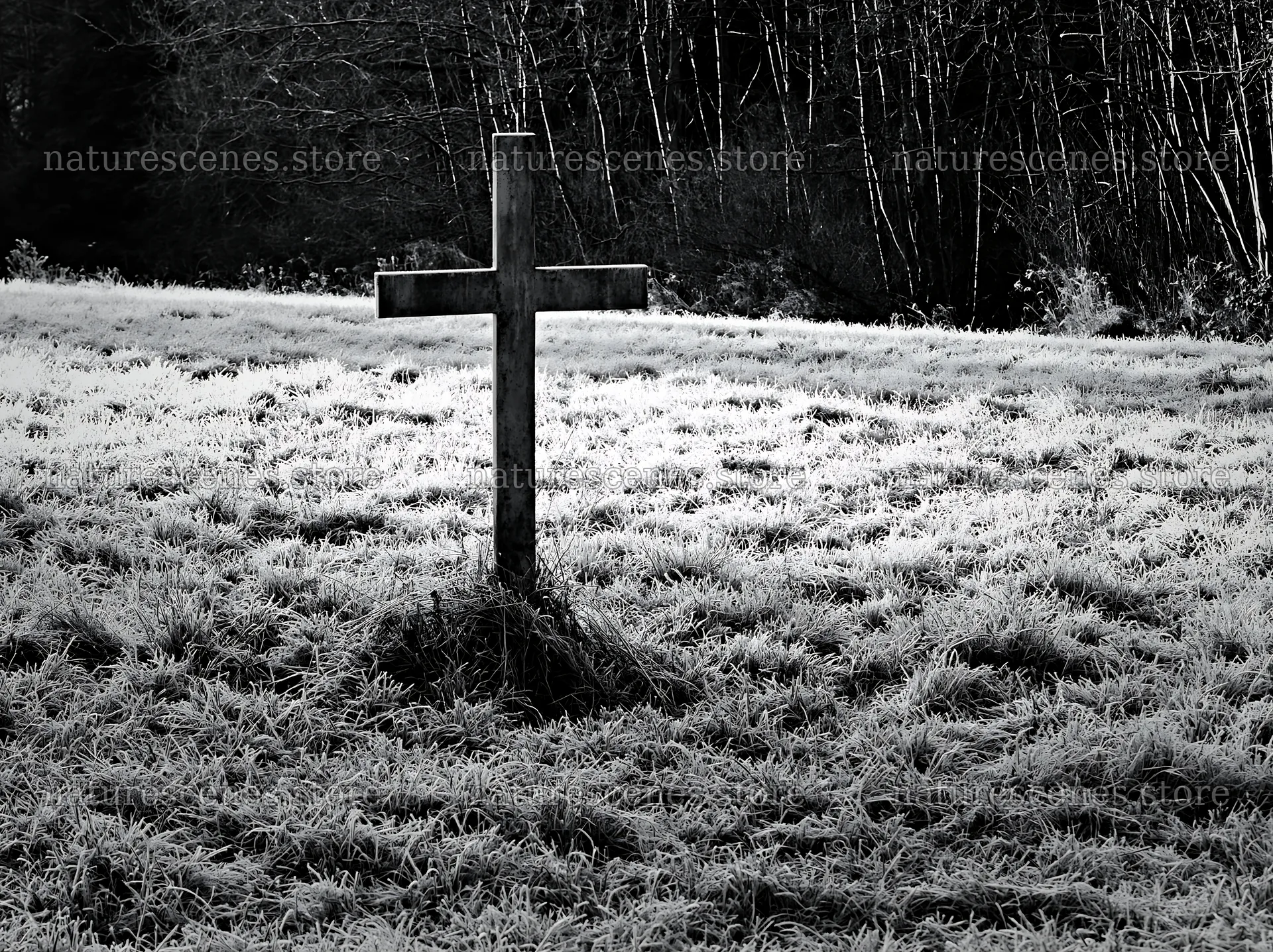 Whitewashed Christian cross in winter meadow – nature scenes 9174x6866
