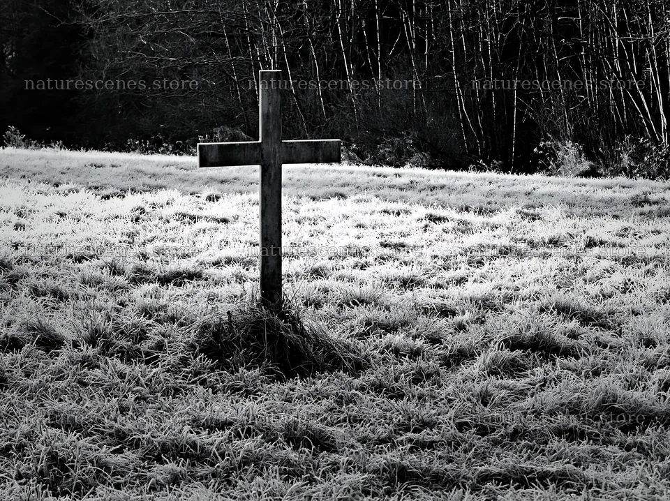 Whitewashed Christian cross in winter meadow – nature scenes 9174x6866