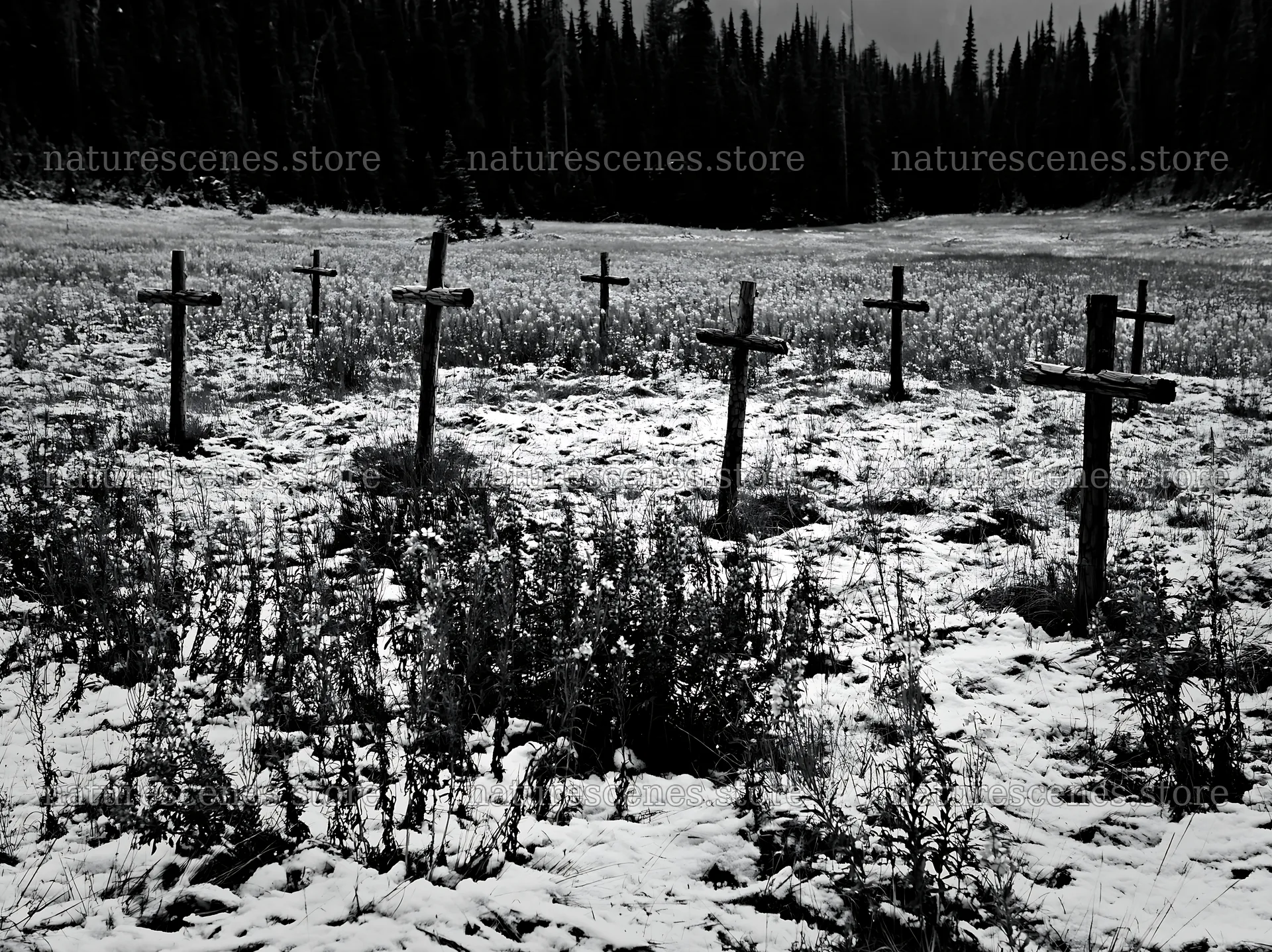 Multiple Christian crosses in snowy meadow – nature scenes 9174x6866